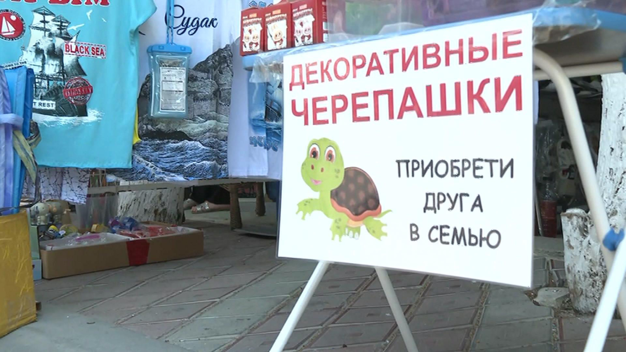 Ксения Форова – о правовых новостях Симферополя
