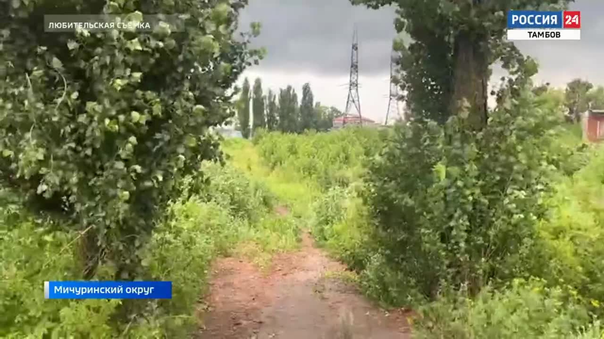 В Мичуринском округе торговали землёй в нарушение закона