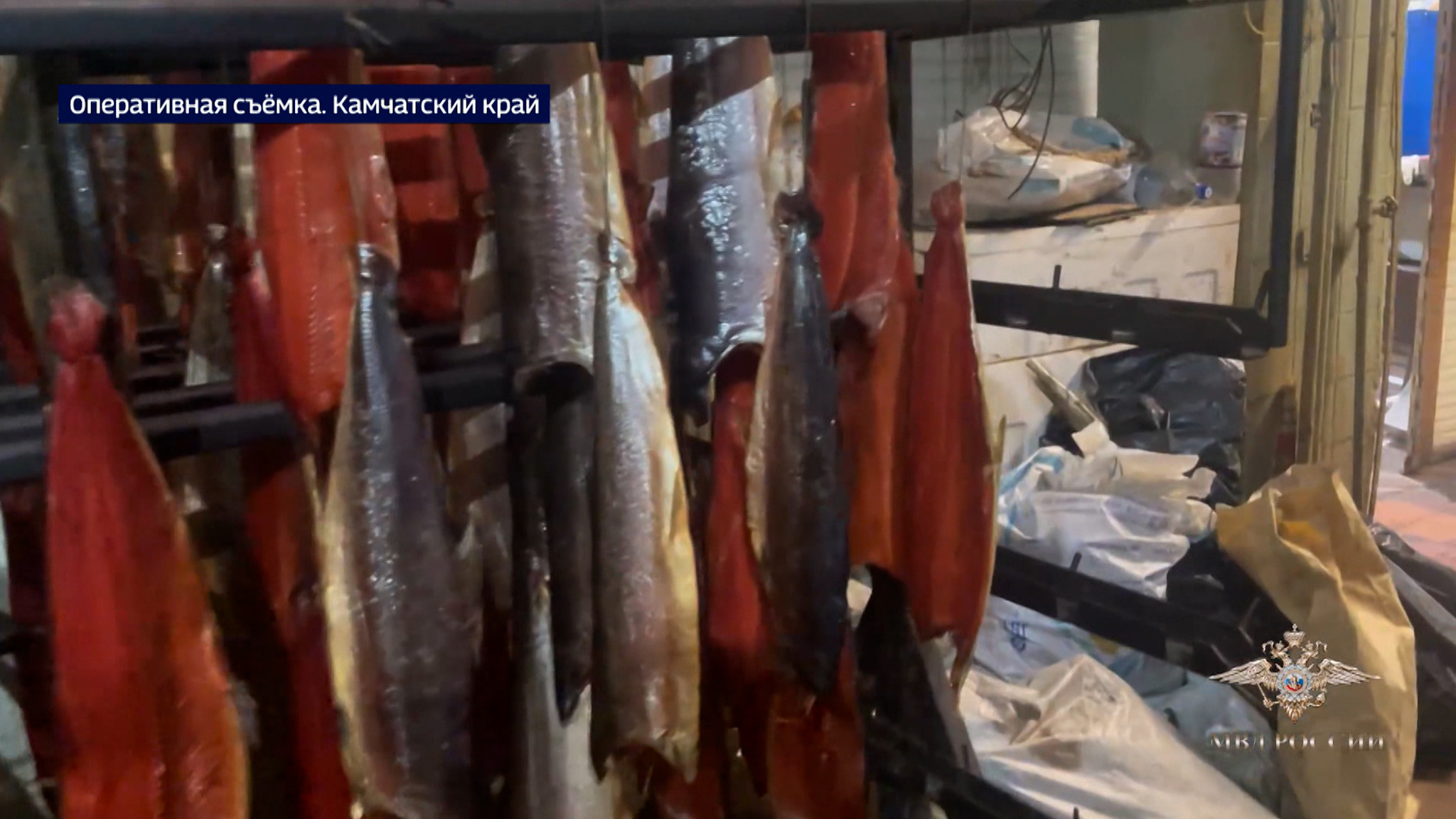 Камчатским силовикам достались 28 тонн браконьерского улова