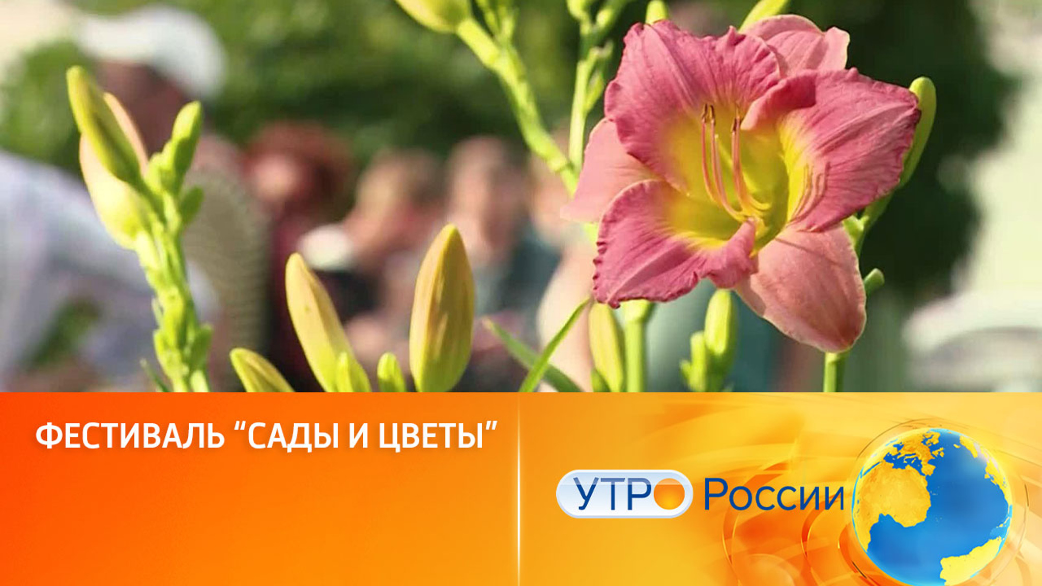Фестиваль "Сады и цветы"