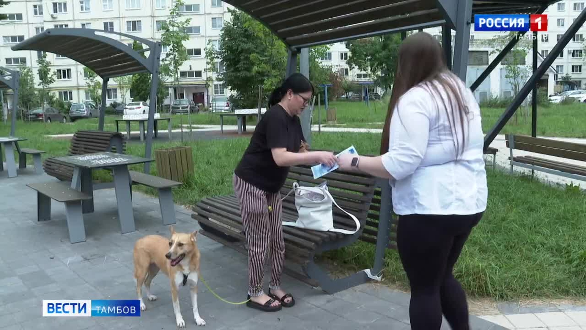 Тамбовчане могут чипировать домашних собак рядом с домом