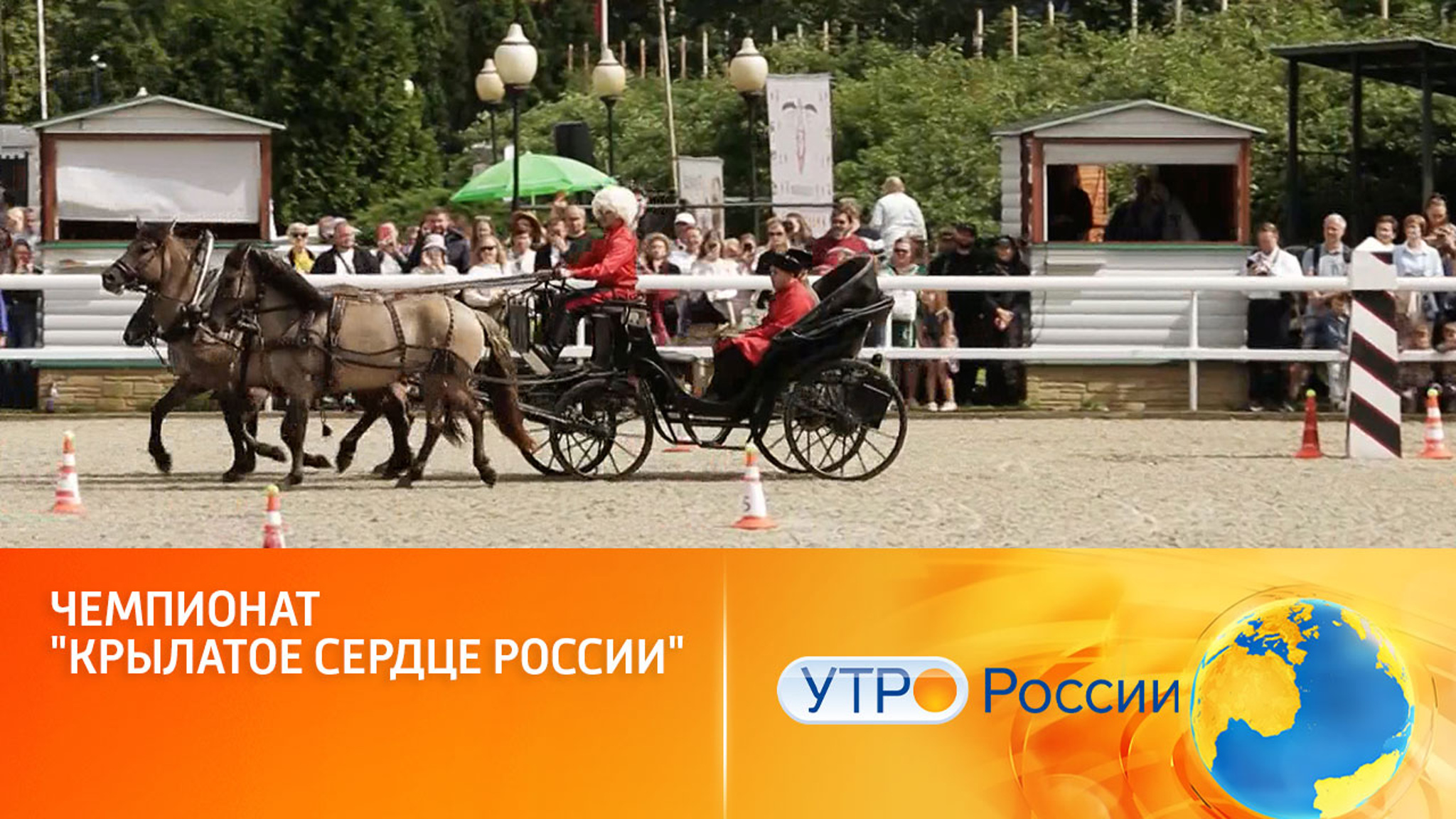 Чемпионат "Крылатое сердце России"