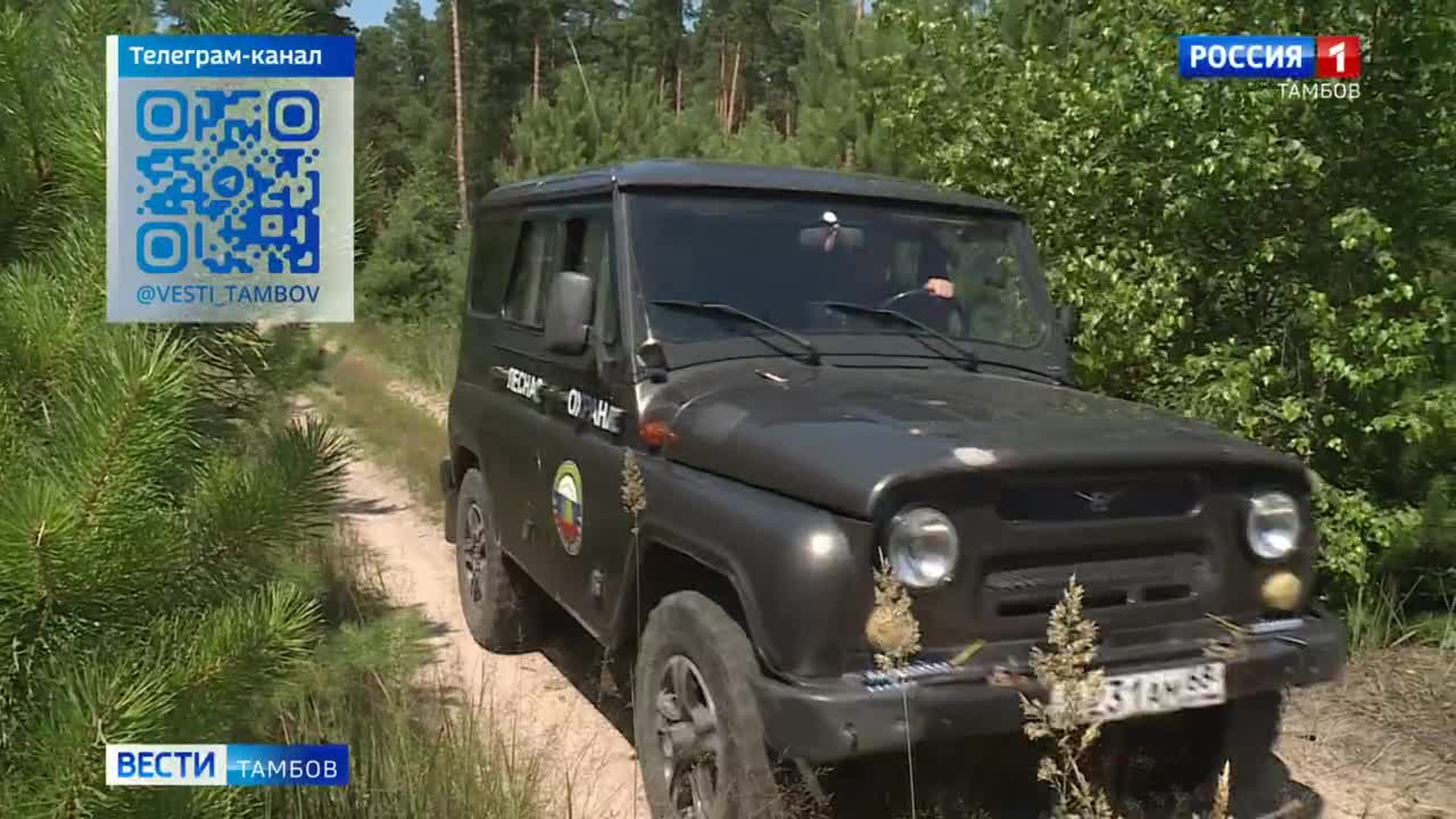 Новости коротко: учениях в лесах и дроны для лесхозов