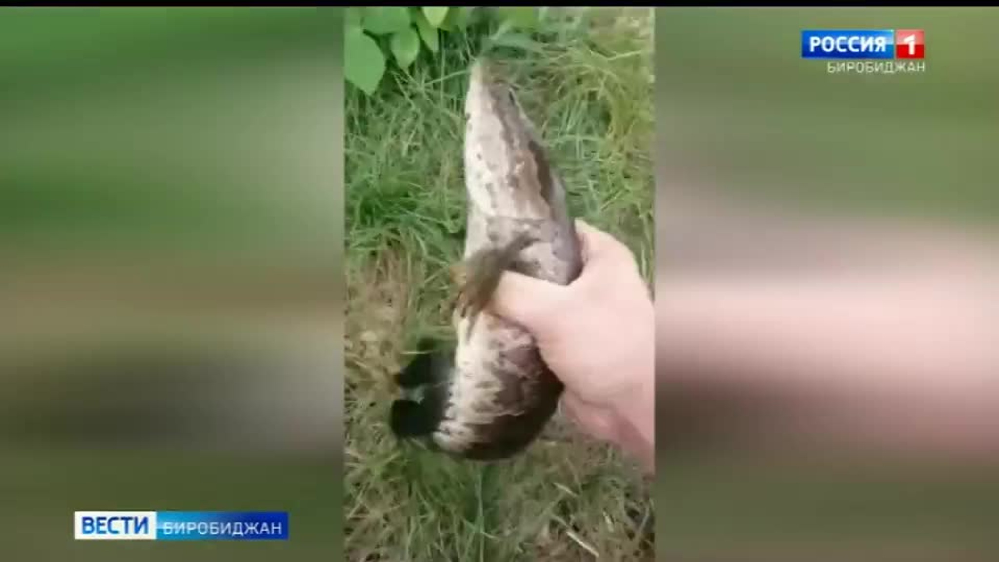 Обзор социальных сетей