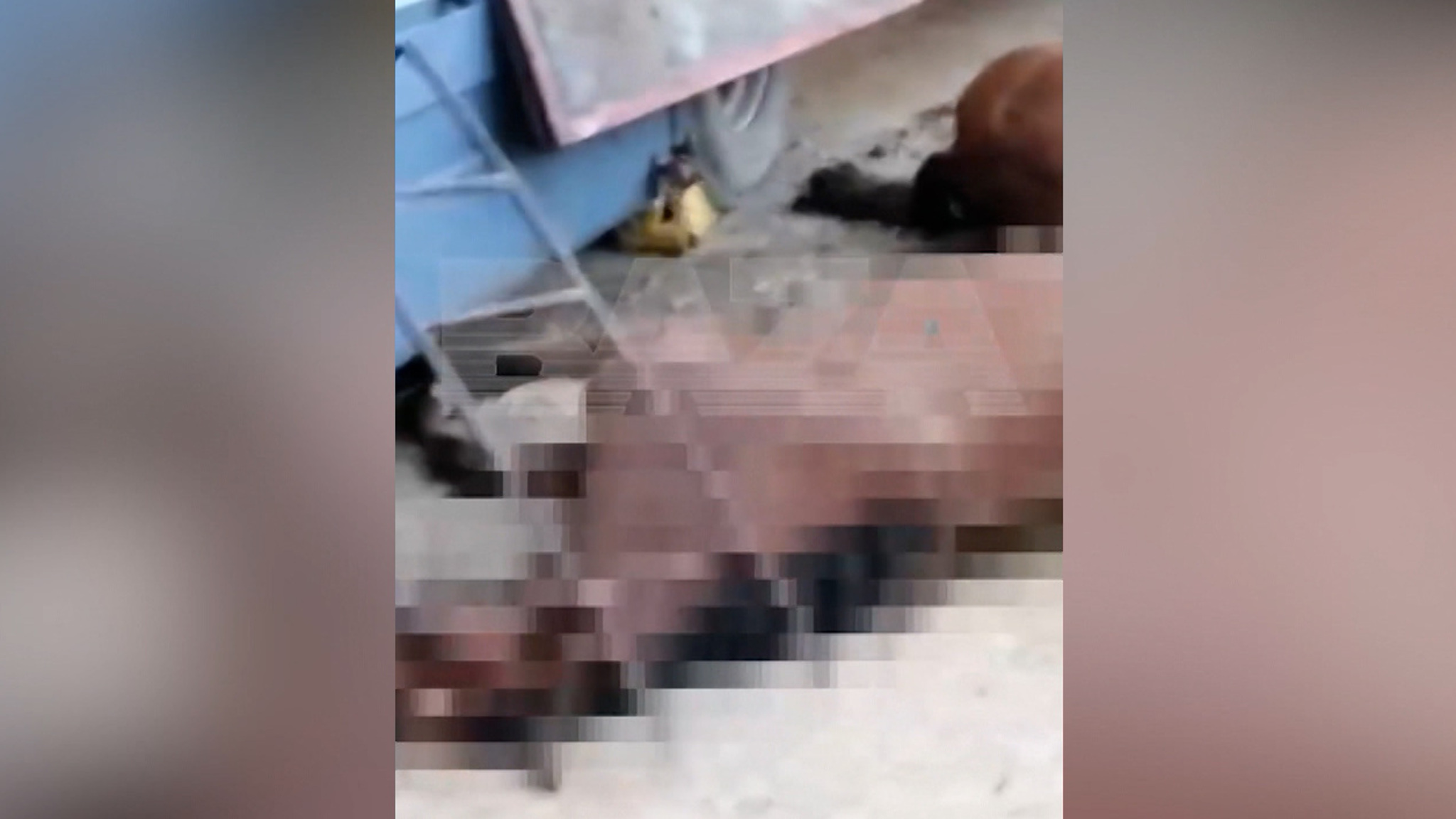 В Челябинской области в перевернувшейся фуре погибли лошади