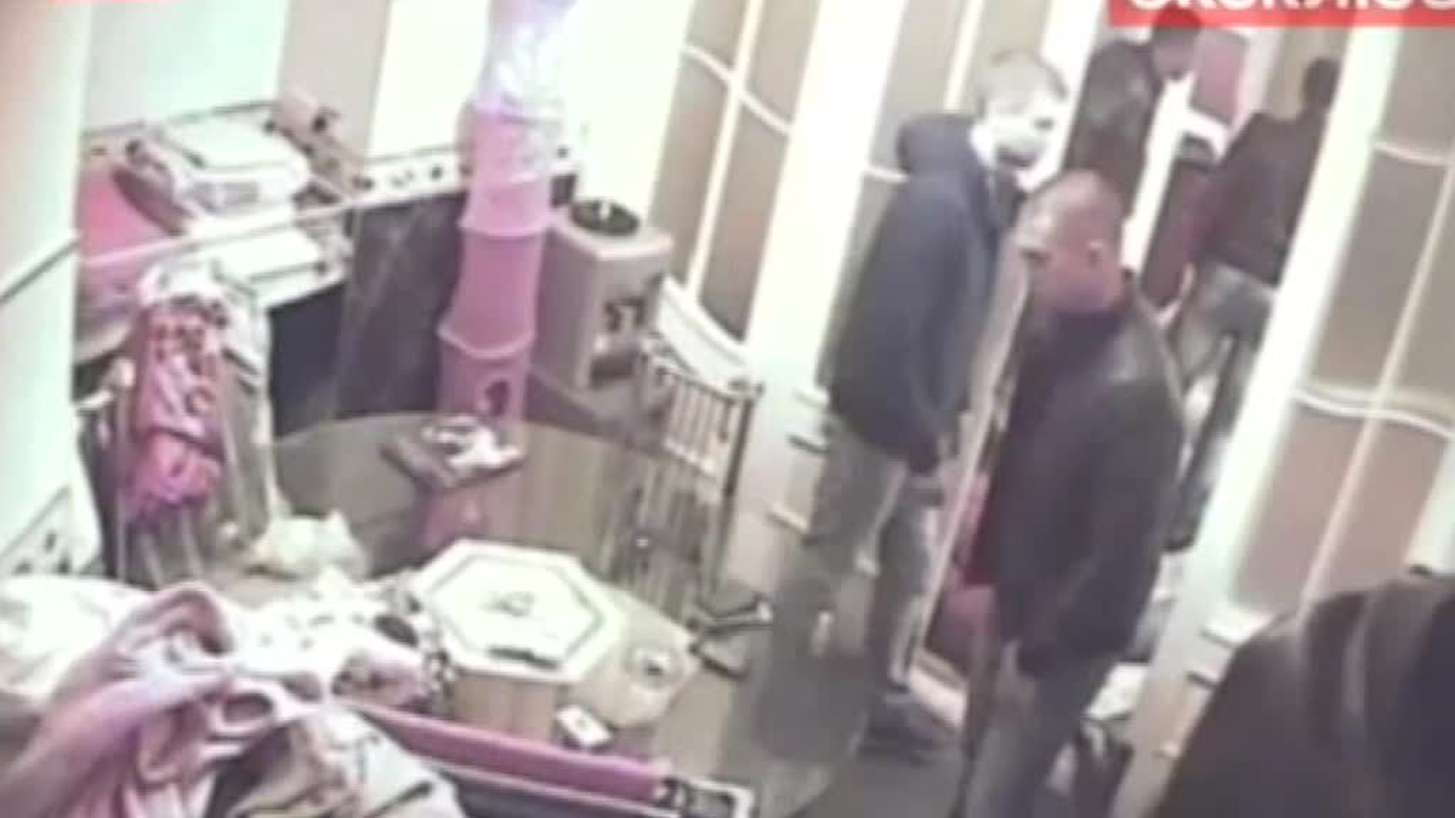Полицейские устроили шумную вечеринку в публичном доме