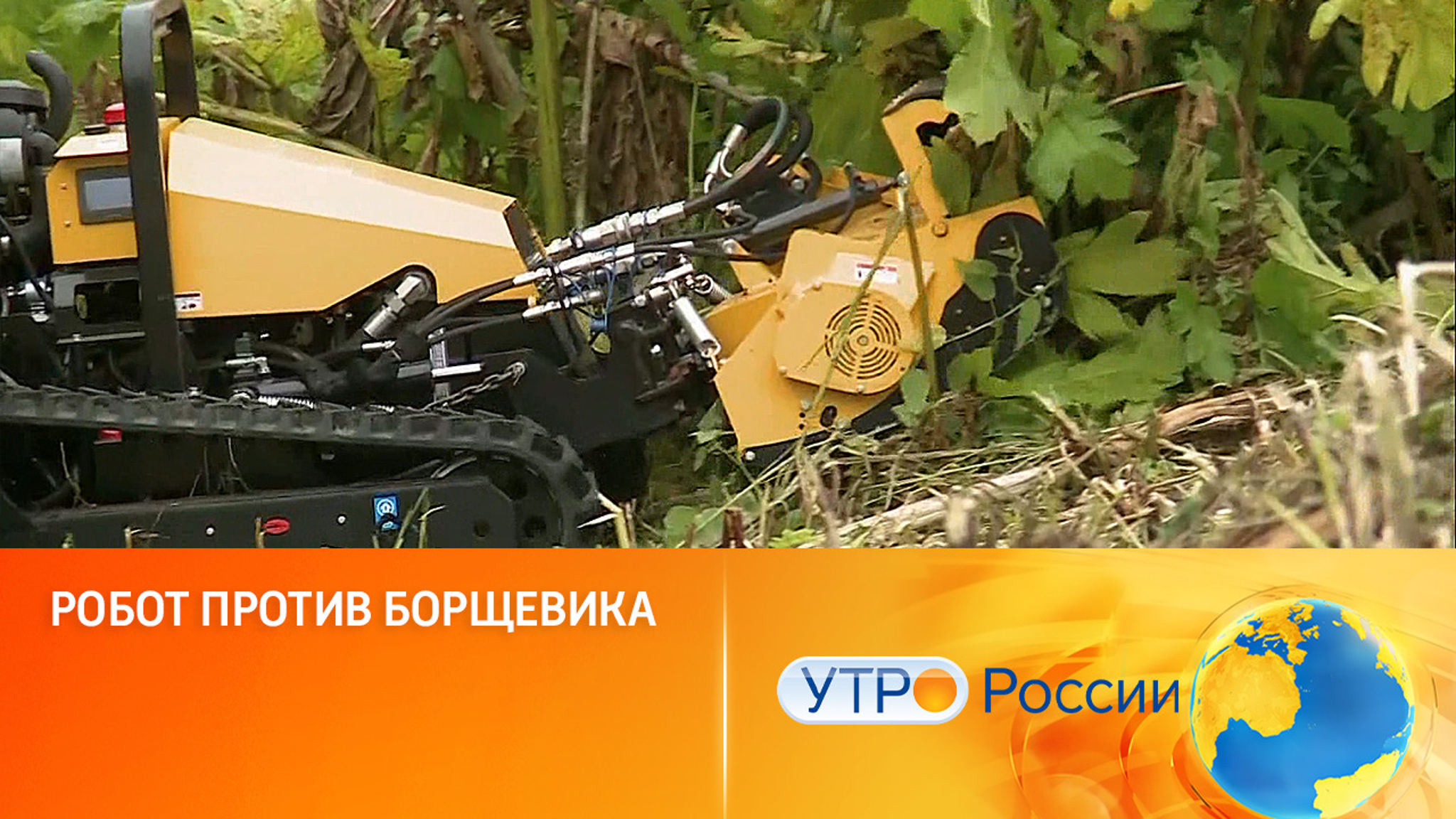 Робот против борщевика