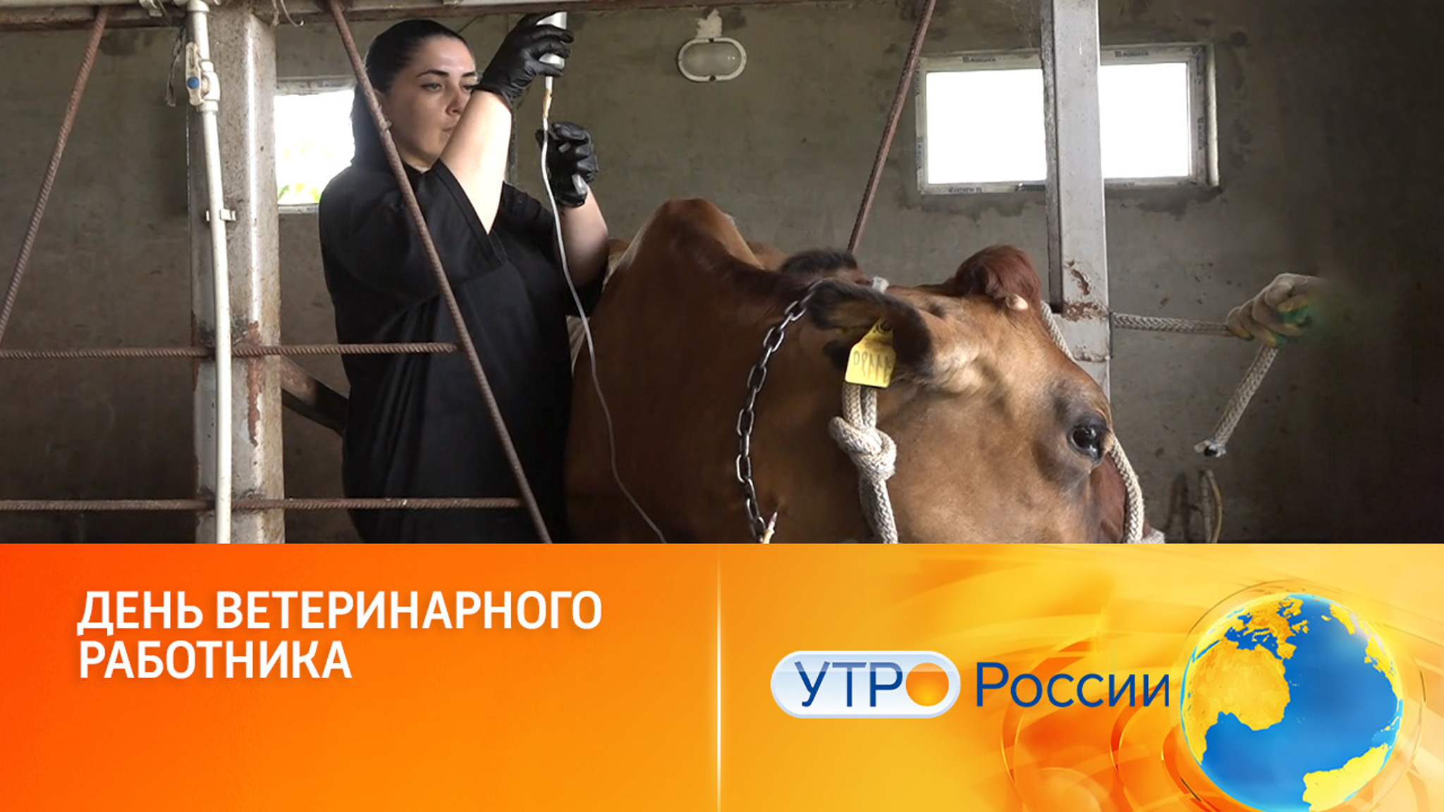 День ветеринарного работника. Технологическое обеспечение продовольственной безопасности