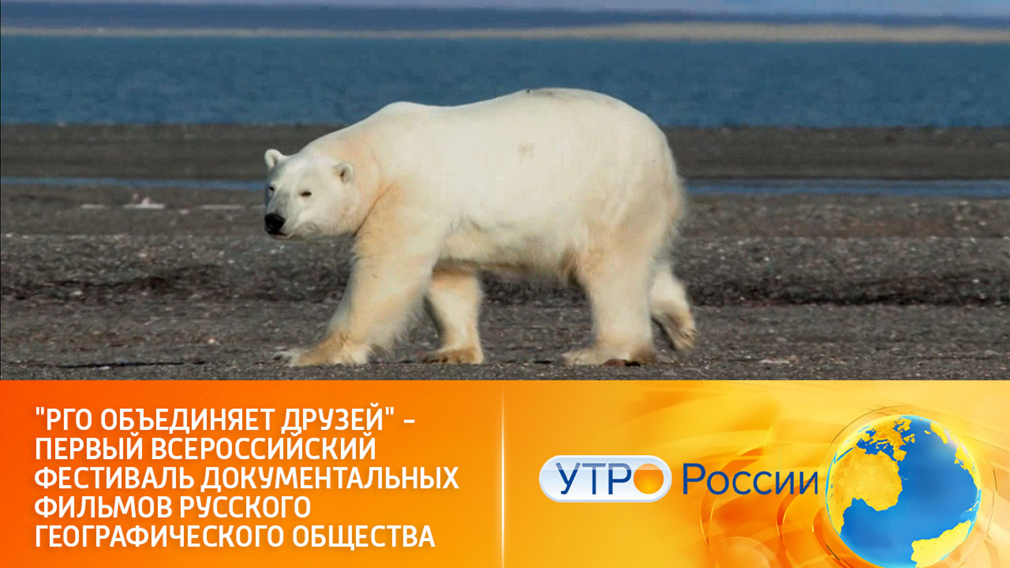 "РГО объединяет друзей" – первый Всероссийский фестиваль документальных фильмов Русского географического общества