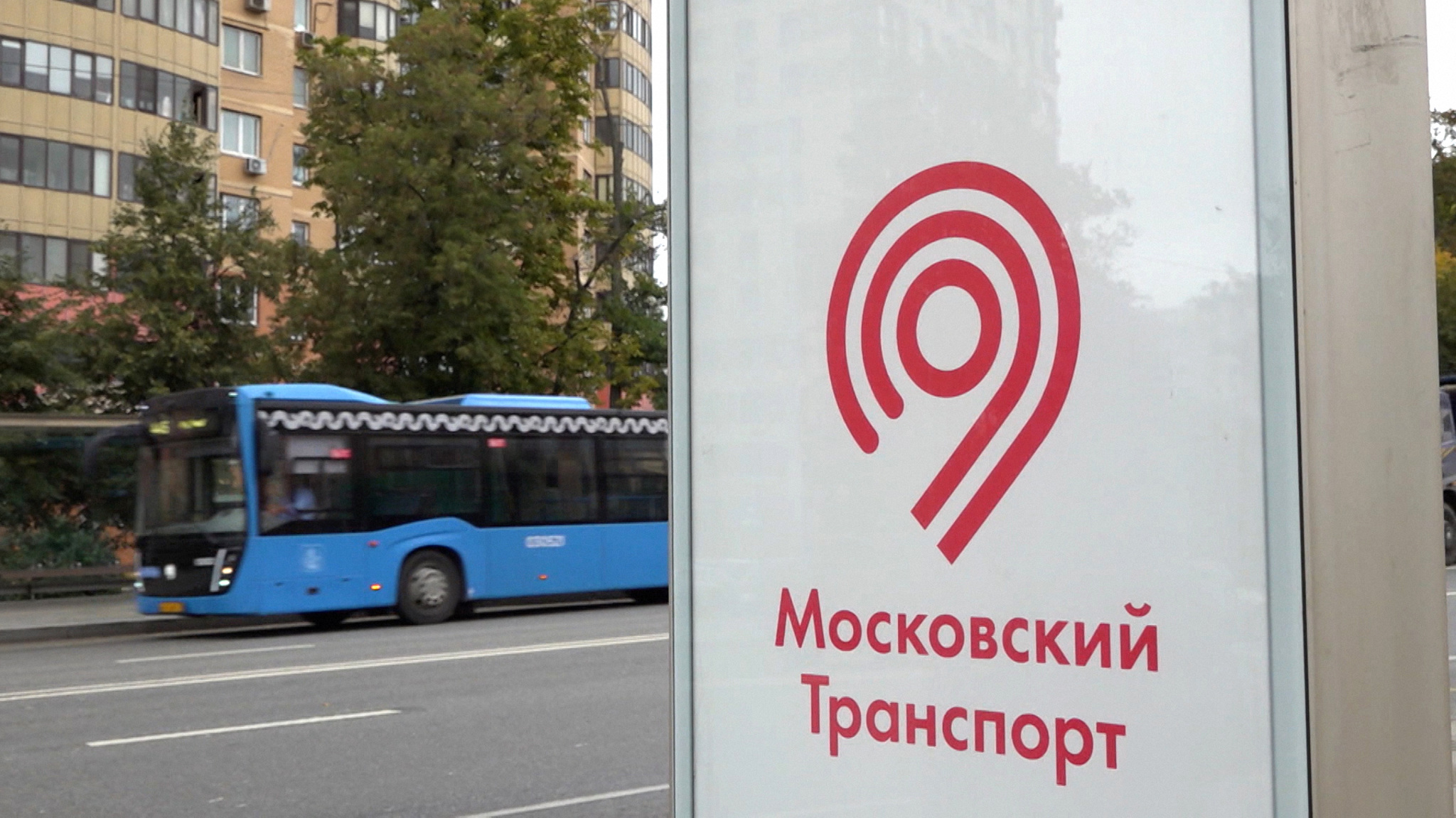 Каждый месяц в Подмосковье будут пускать несколько новых автобусных маршрутов