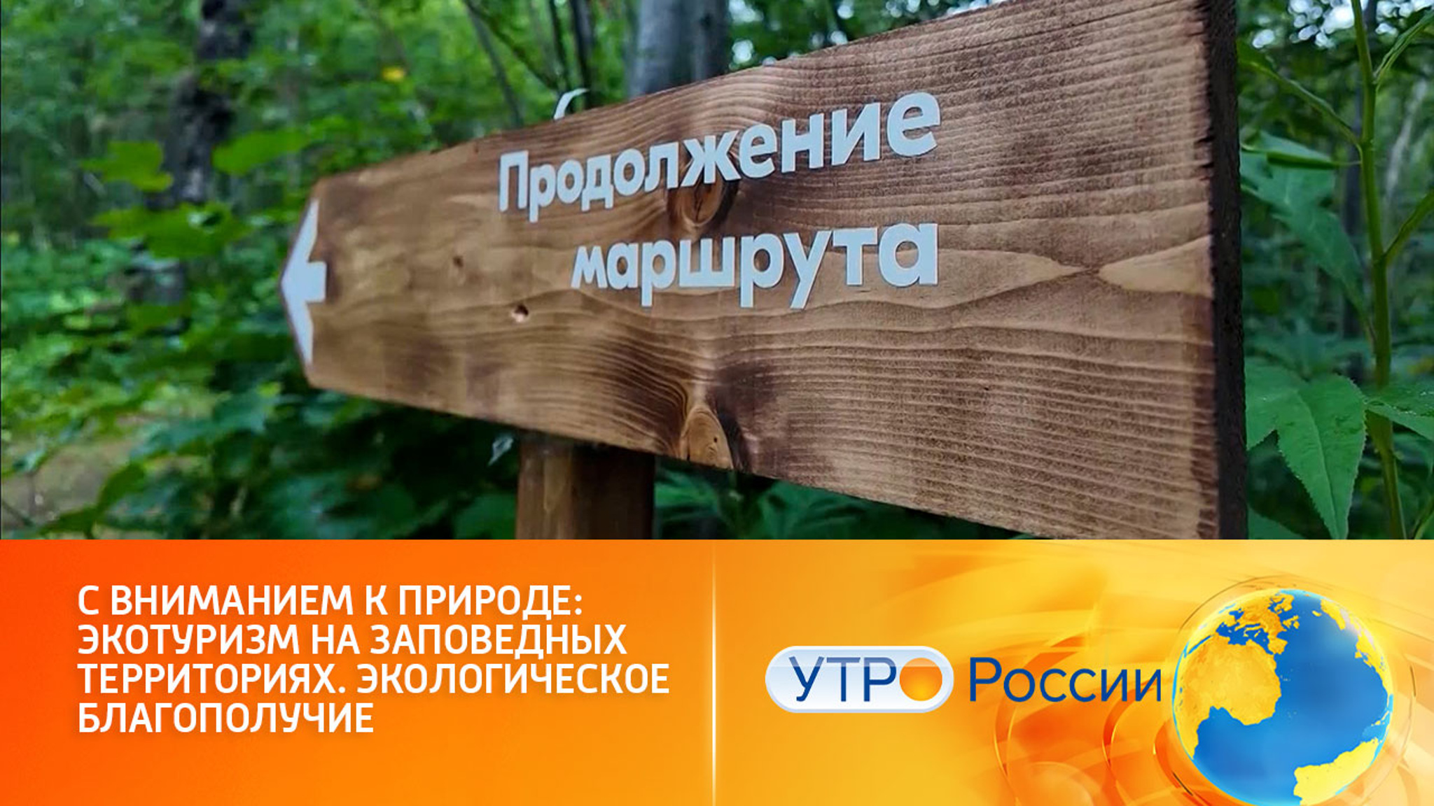 С вниманием к природе: экотуризм на заповедных территориях. Экологическое благополучие