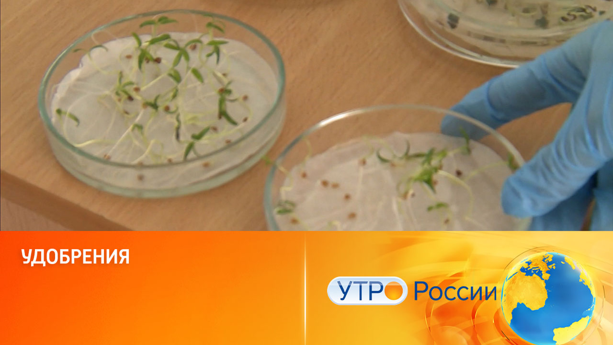 Удобрения