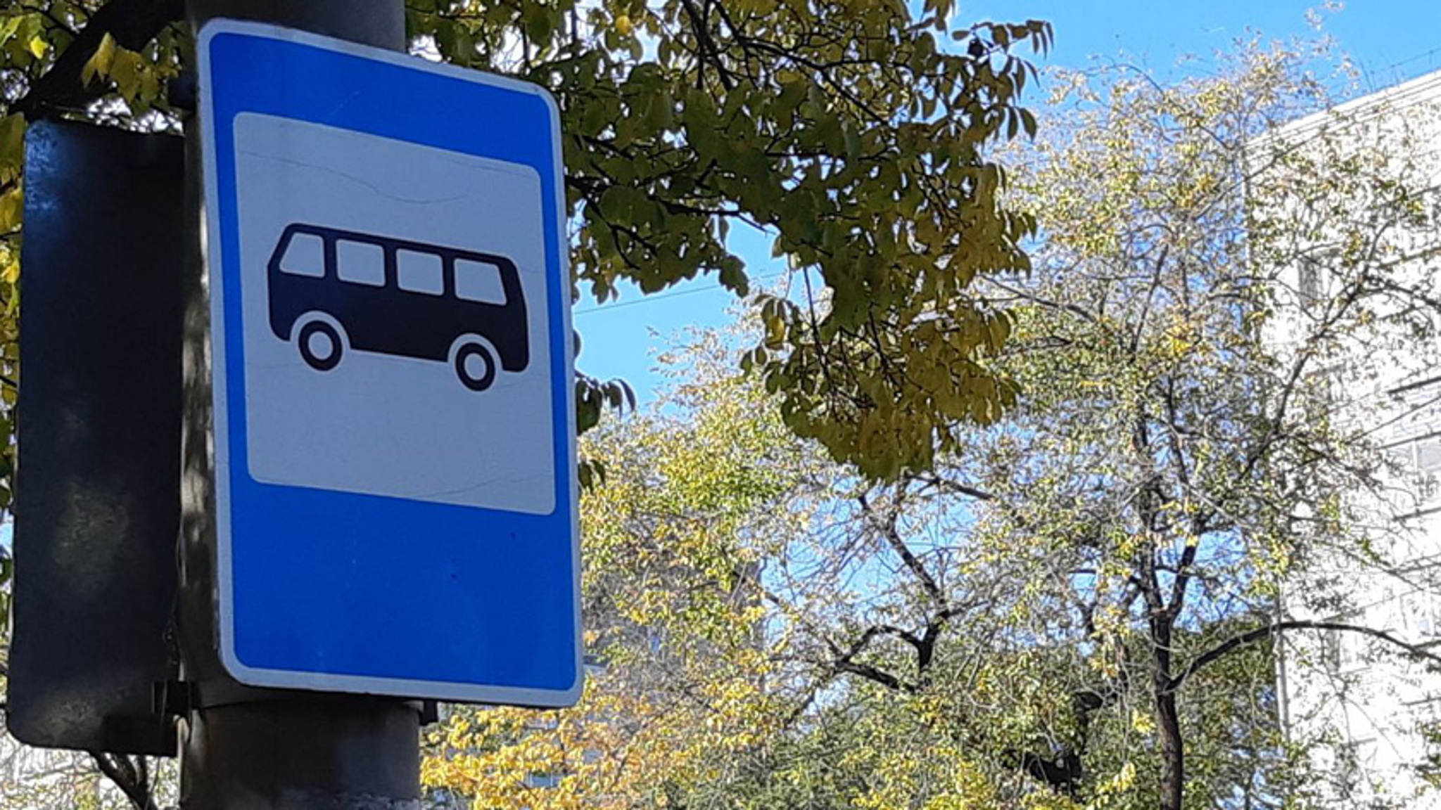 Жители областного центра отмечают сбой в работе виртуальной транспортной карты