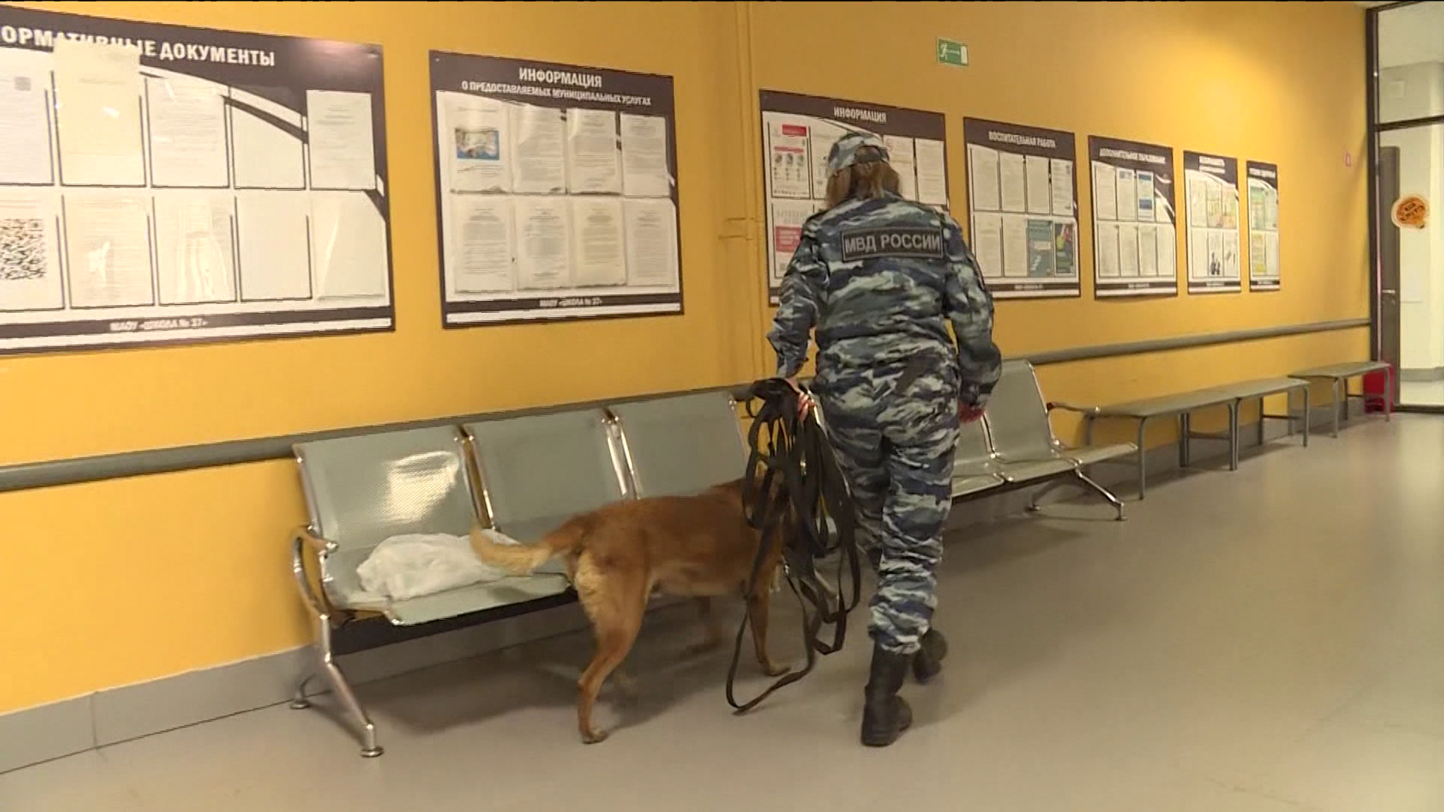 Новгородская область: задержание наркокурьера и проверка избирательных участков