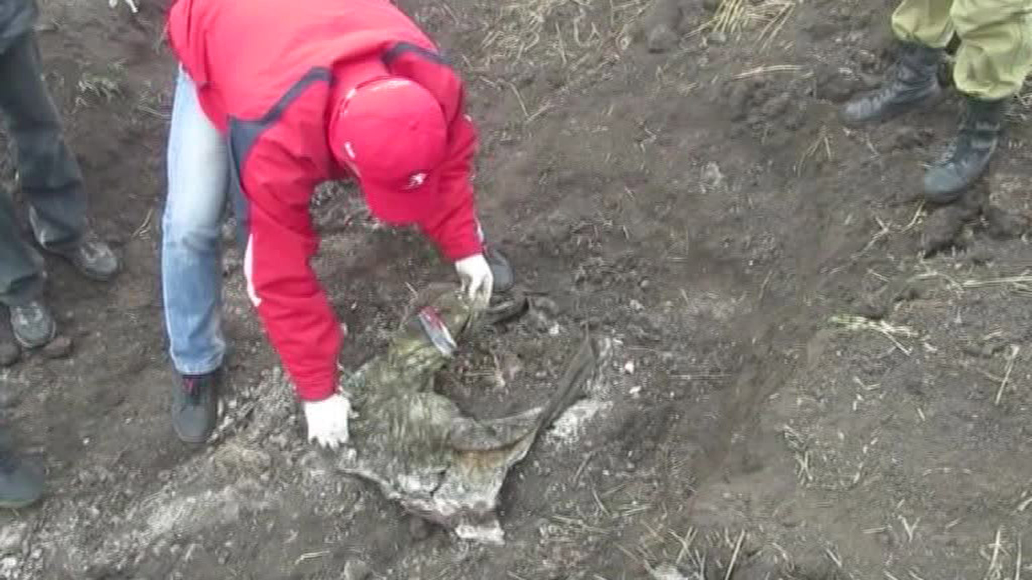 В Луганской области найдено новое захоронение: на телах есть следы пыток