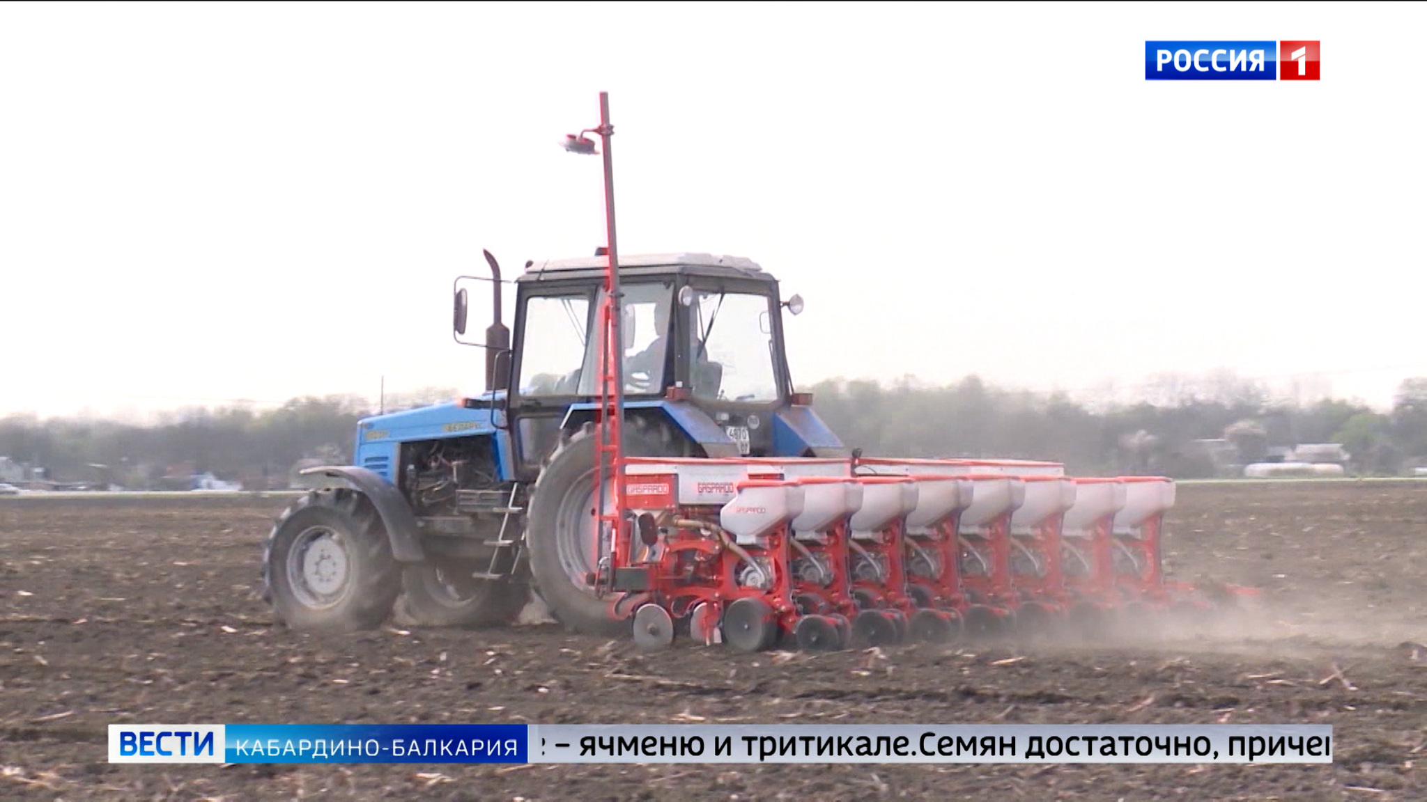 Более 60 тысяч гектаров отведут под зерновые в КБР