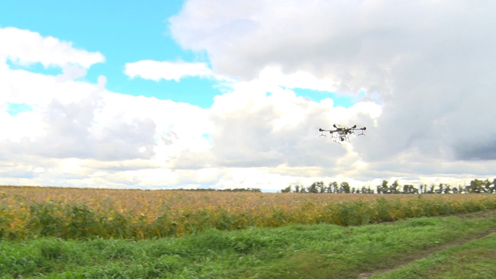 Дроны в деле: современные технологии помогают амурским аграриям повысить производительность