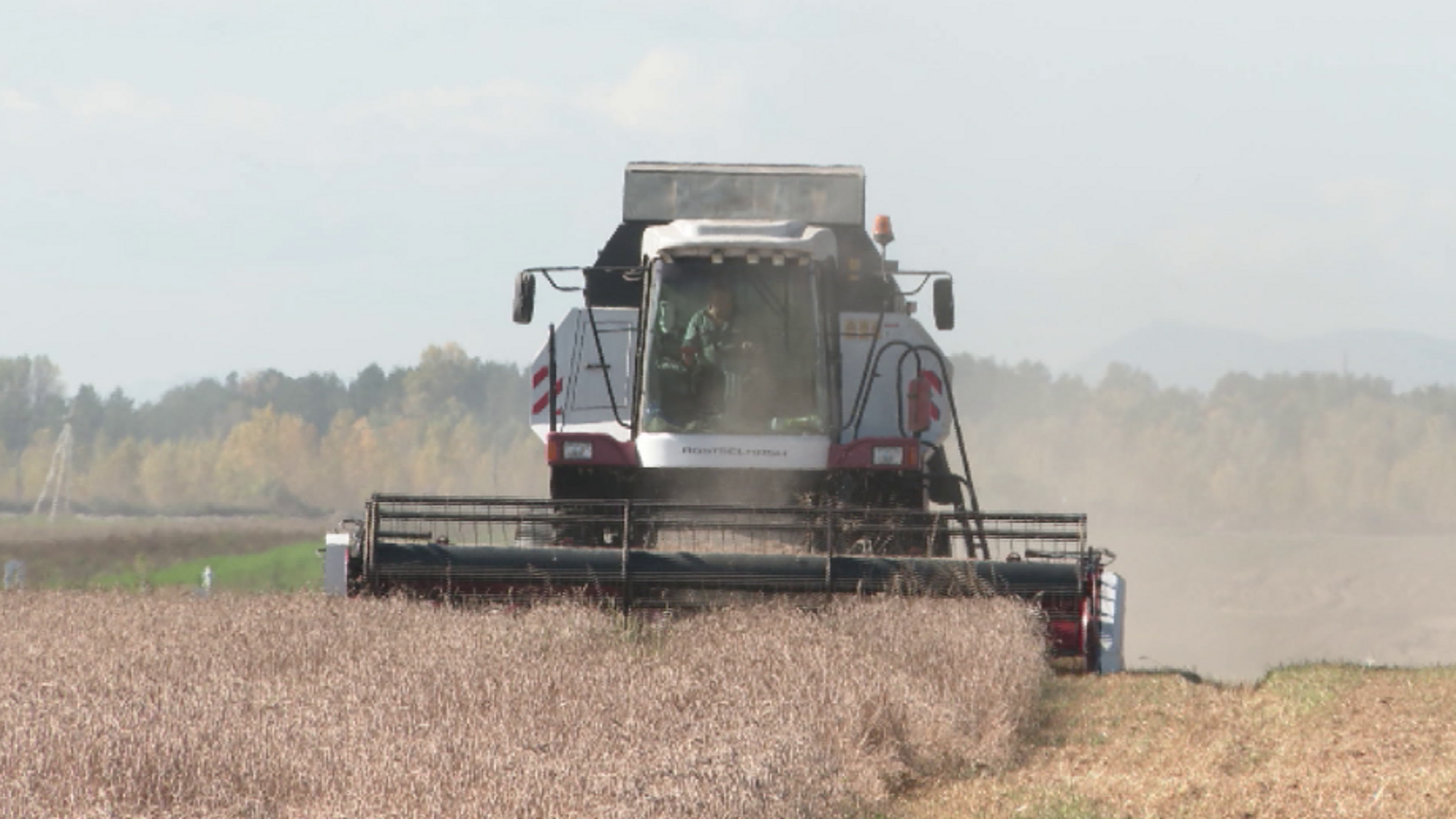 В регионе полным ходом идет сбор урожая