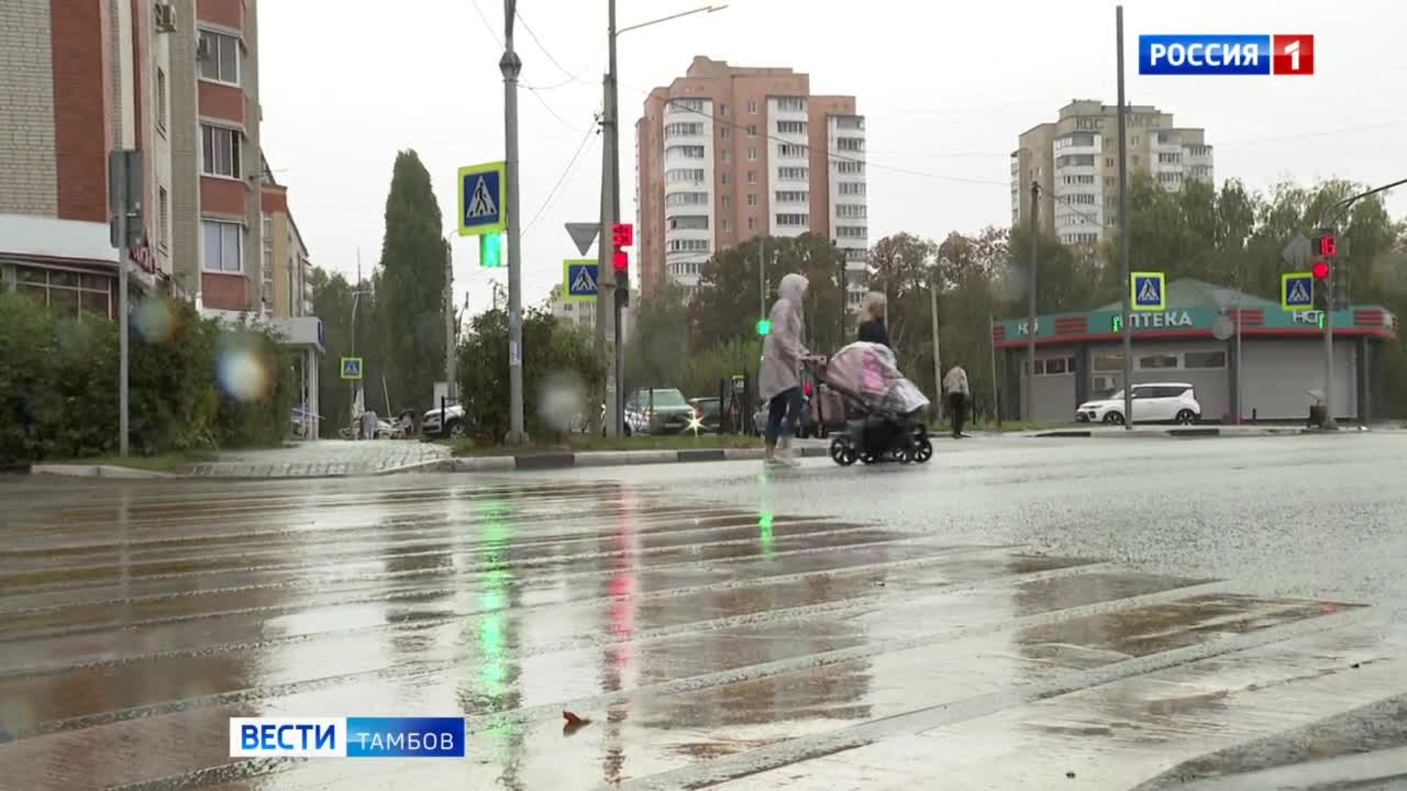 Возвращение бабьего лета не ждать: прогноз погоды в Тамбове на ближайшие дни