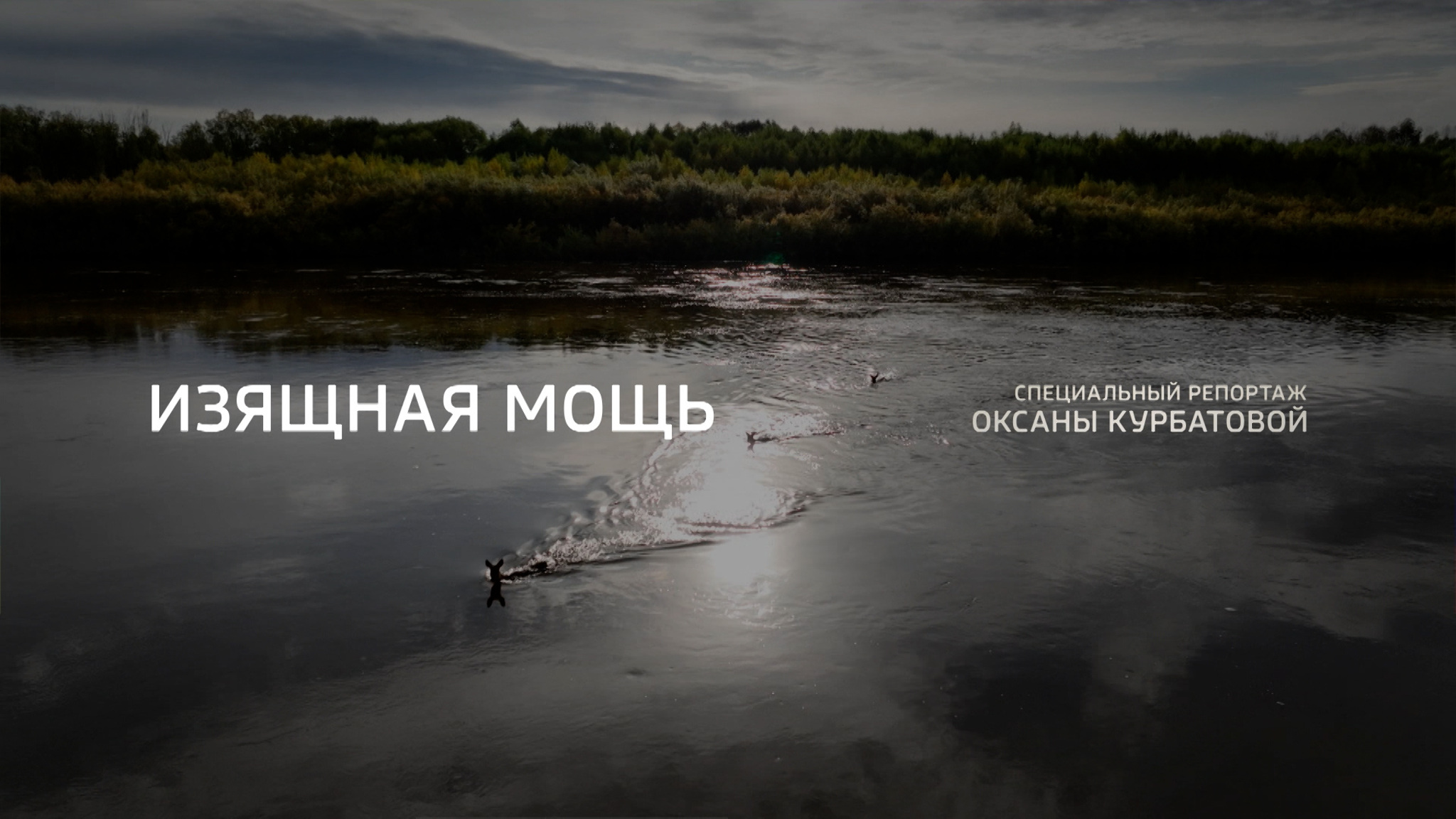 Изящная мощь. Репортаж Оксаны Курбатовой