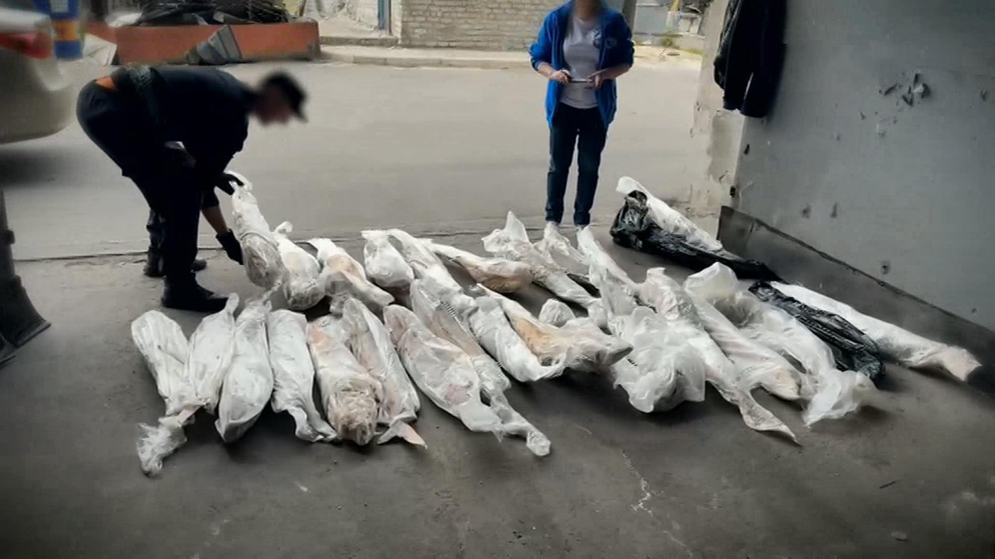 Директора рыбного цеха в Мариуполе обвиняют в браконьерстве