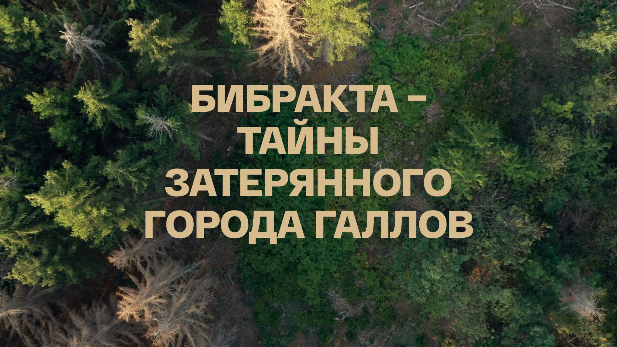 Бибракта – тайны затерянного города галлов