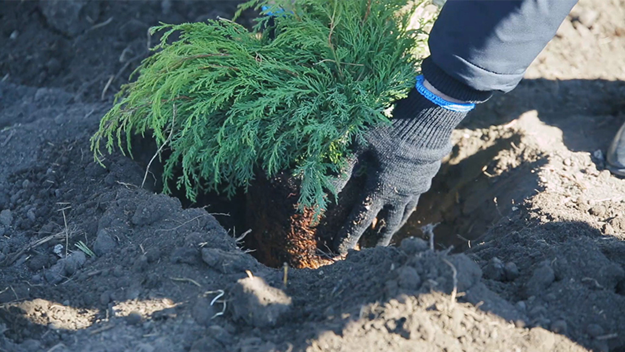 Масштабное озеленение площади завершается в воздушной гавани амурской столицы