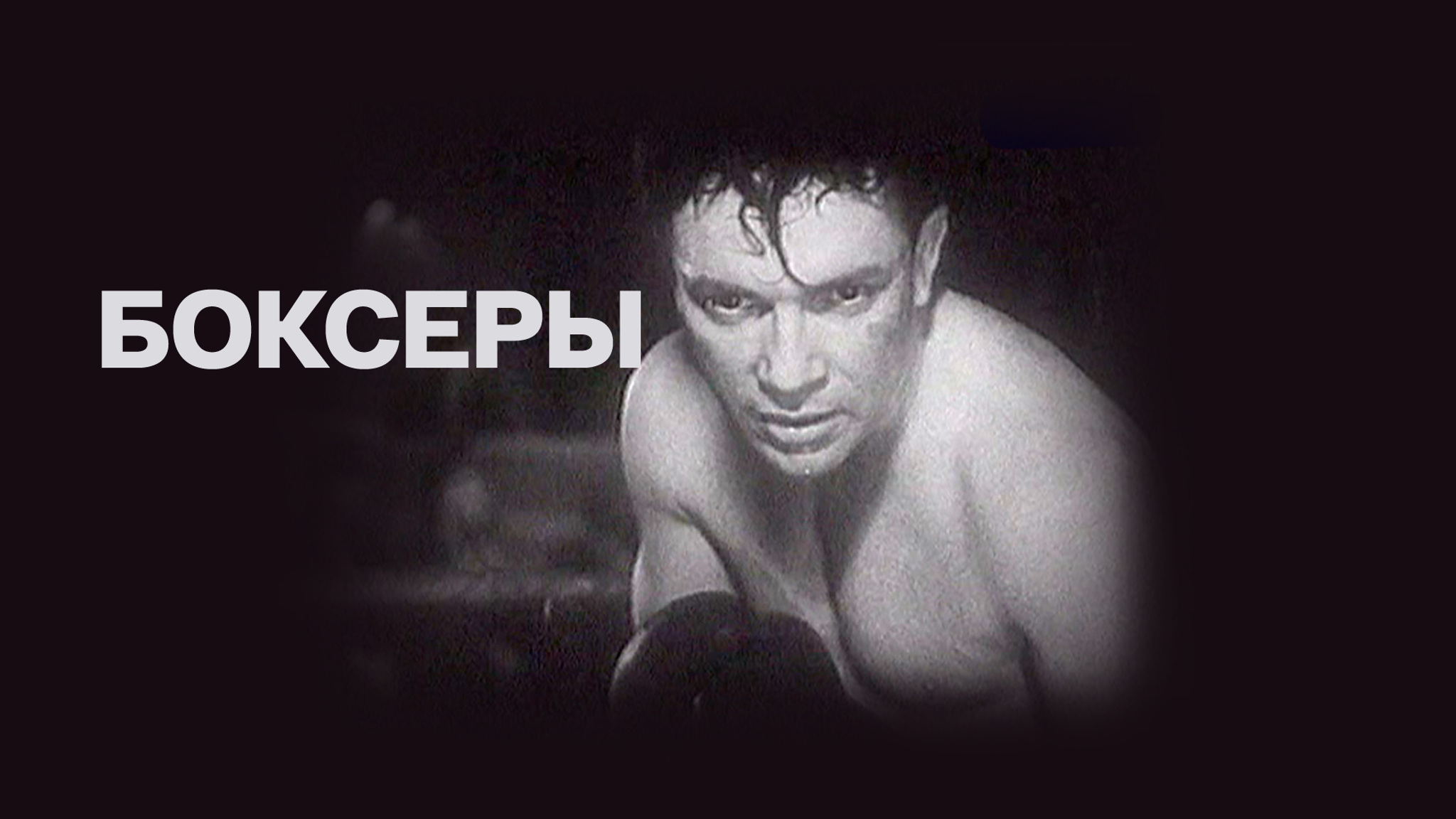 Боксеры