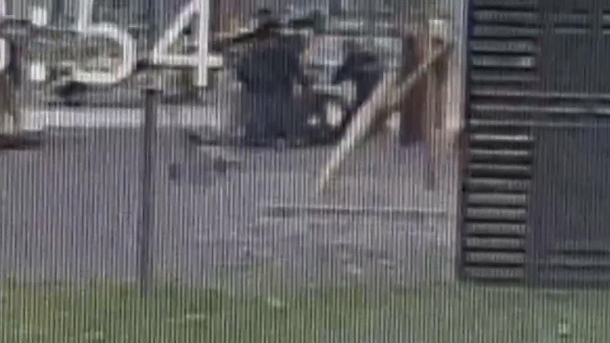 В Москве задержан мужчина, ударивший подростка коленом в живот