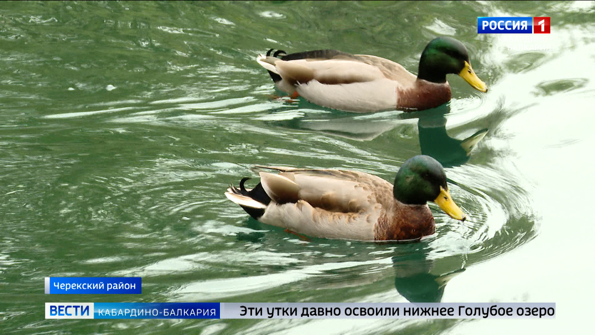 Голубые озера продолжают привлекать туристов