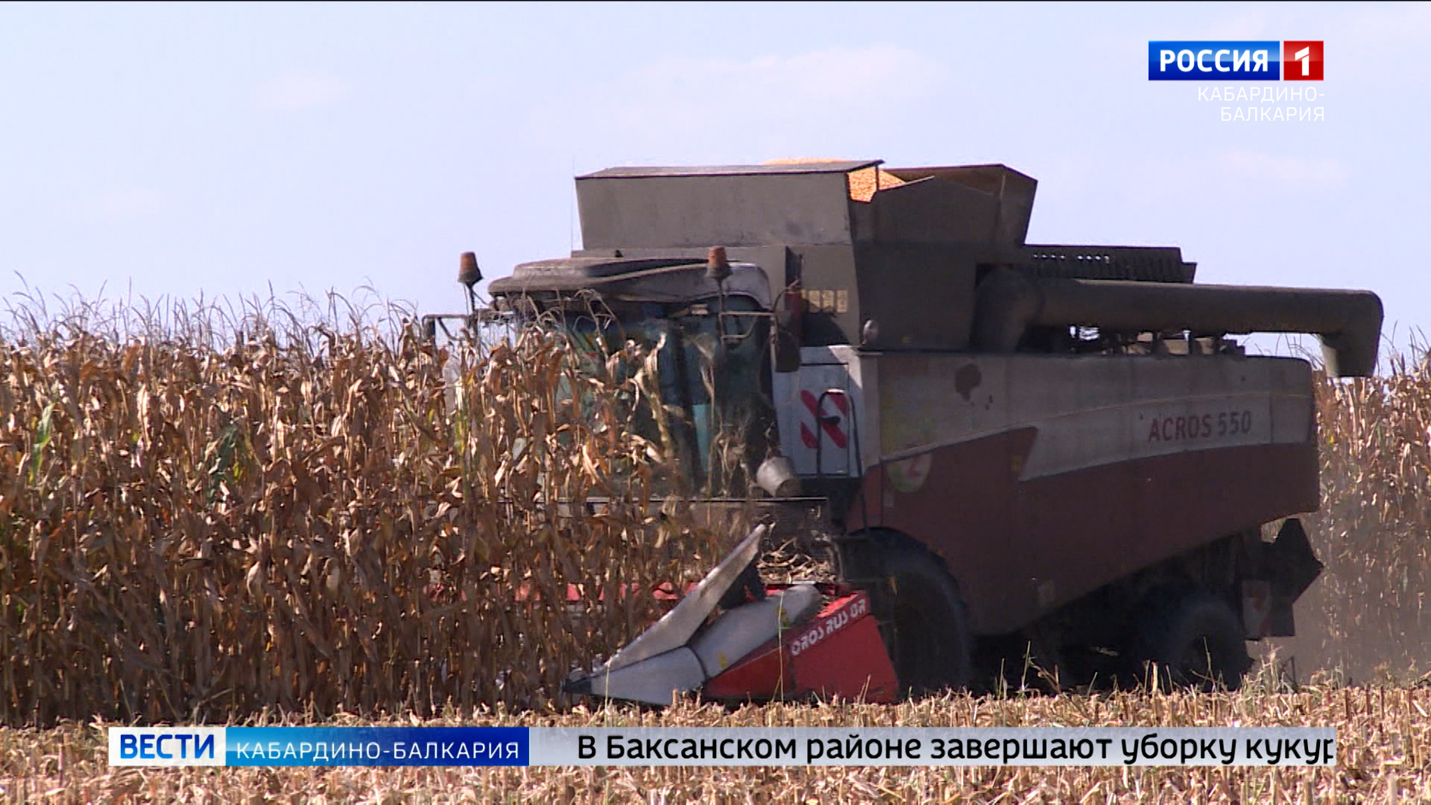 В Баксанском районе завершают уборку кукурузы на зерно