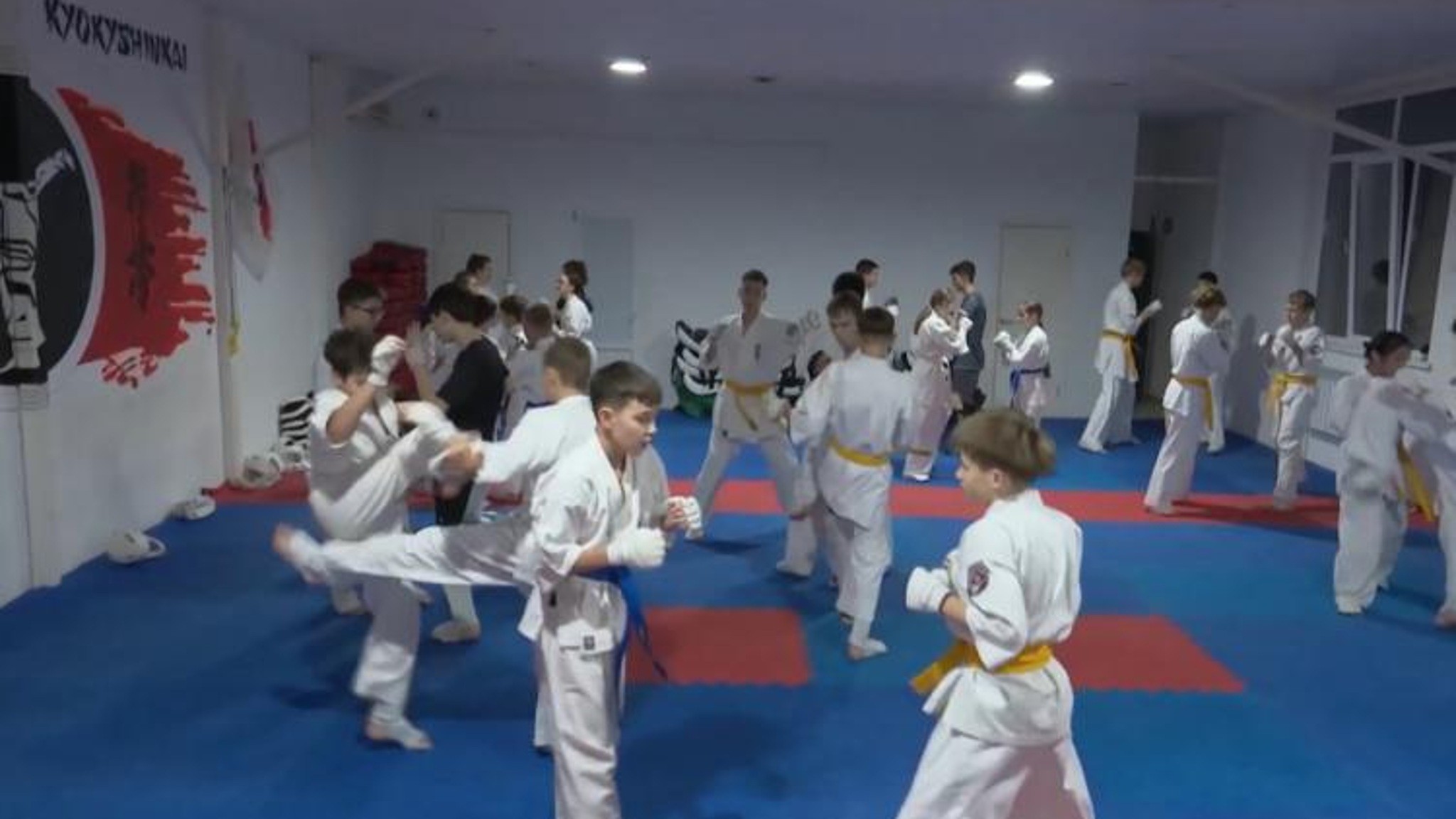 Богатый урожай. Копилка спортивных наград региона в ноябре пополнилась наградами международного и всероссийского уровня