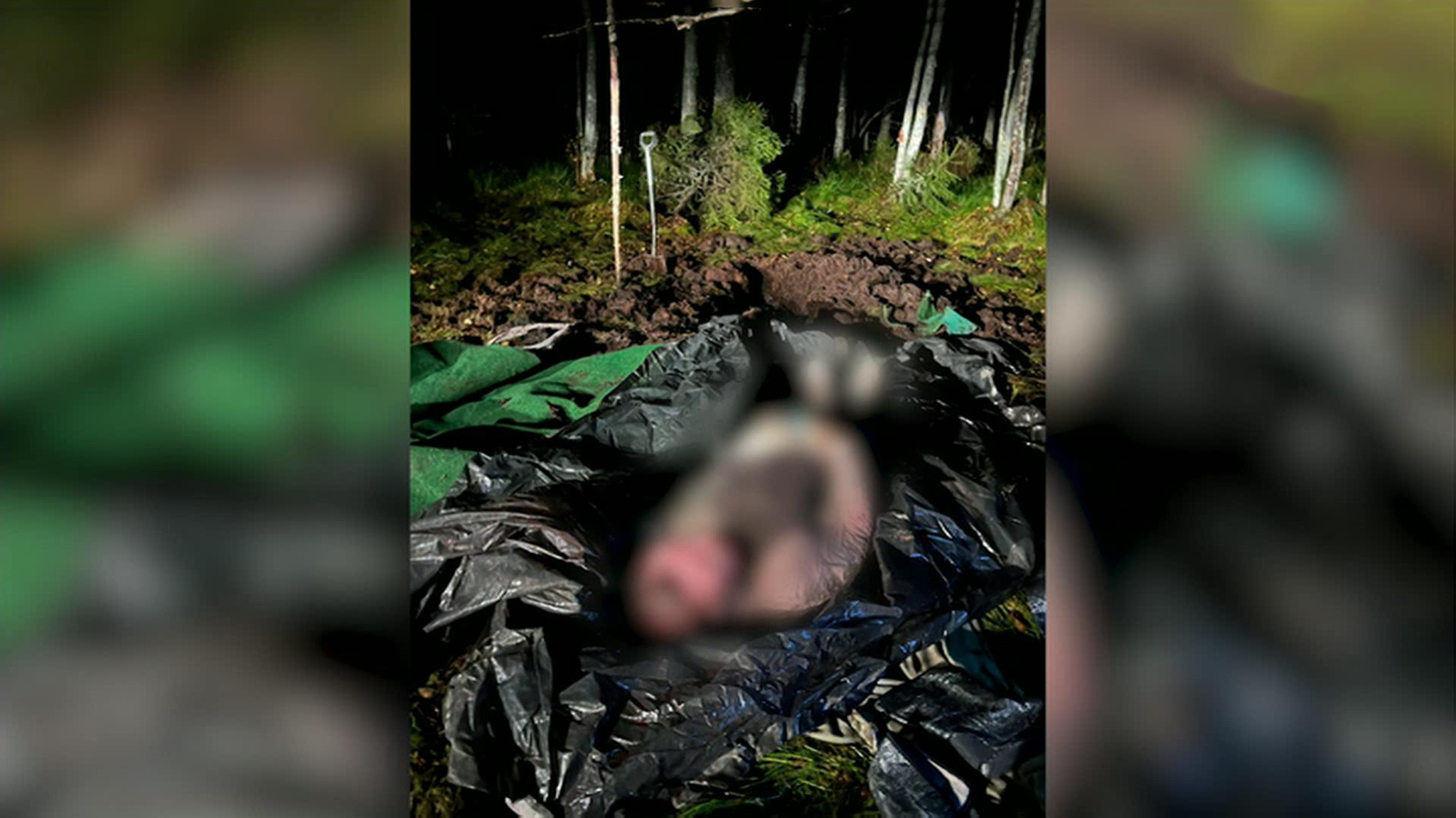 Убийство бизнесмена в Новгородской области обрастает версиями