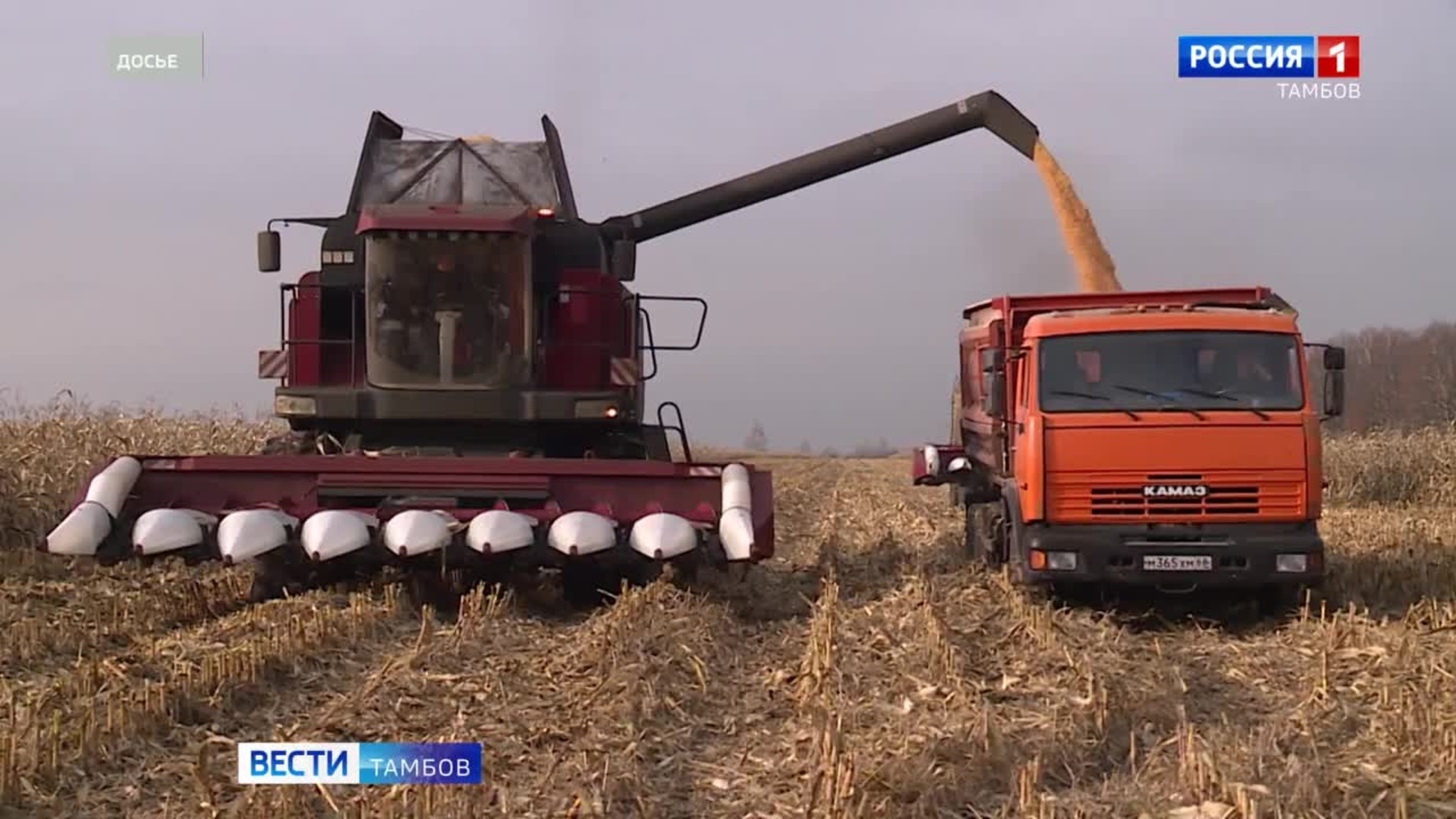 Урожай-2025 в Тамбовской области выше, чем в прошлом году)