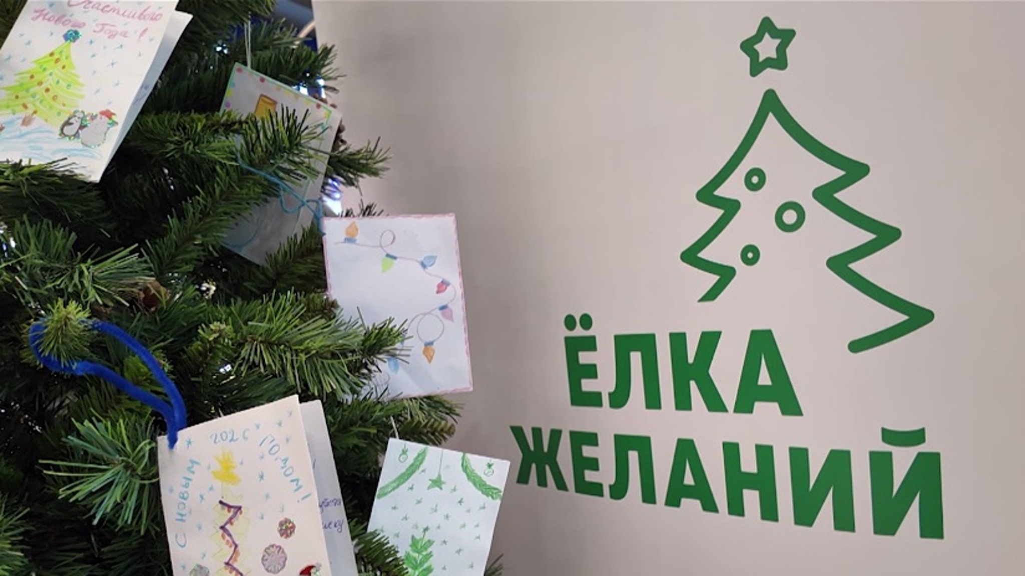 "Елки желаний" начали устанавливать в Тюмени