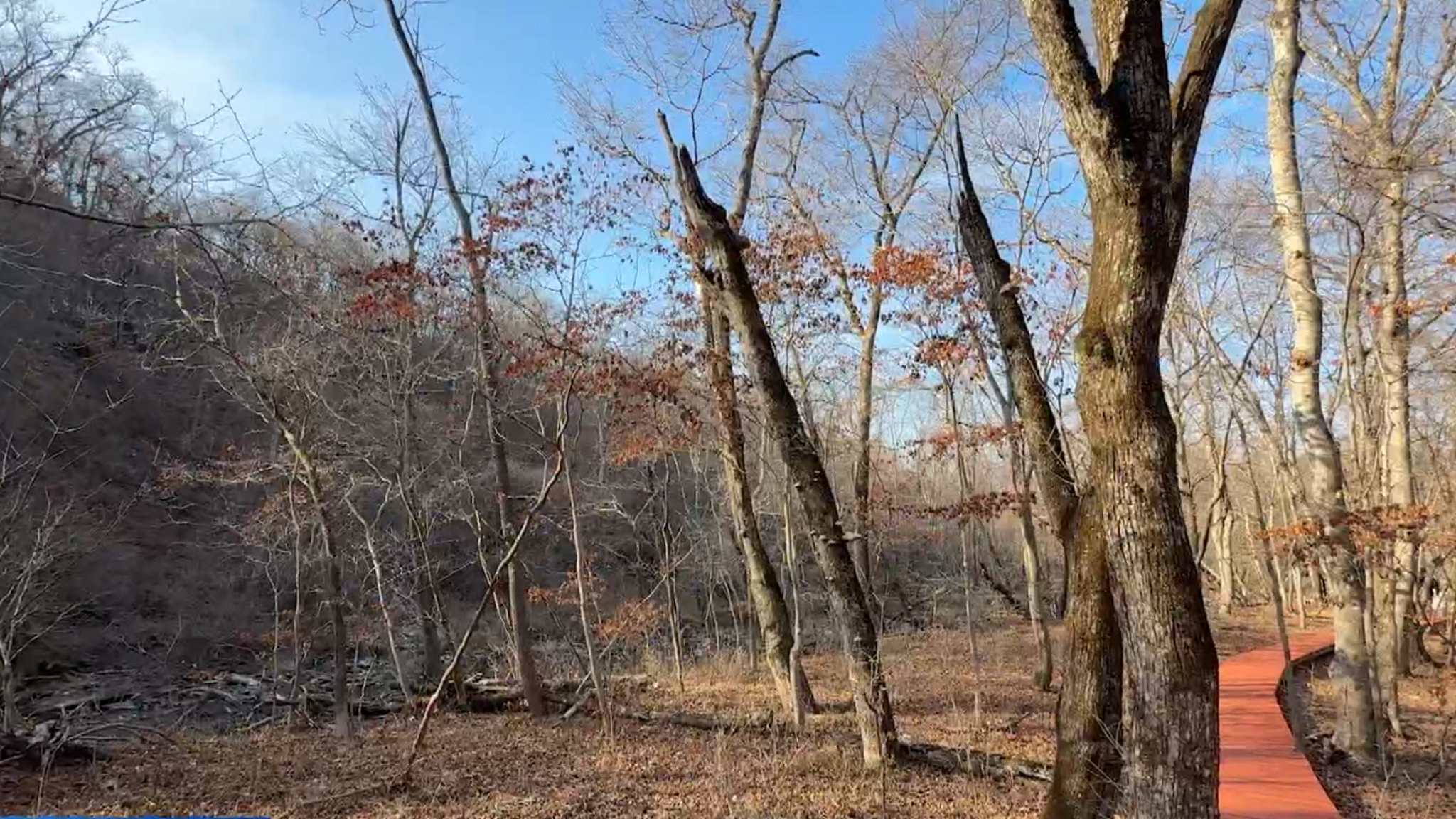 Новую экотропу открыли в нацпарке "Земля леопарда"
