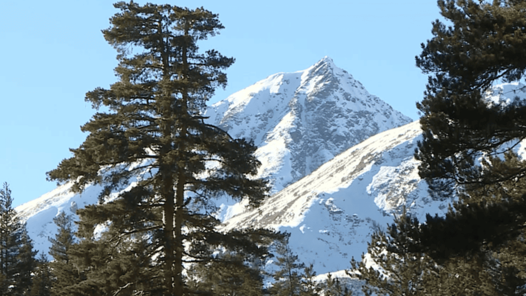 Защитники нашей страны уже с первых дней демонстрируют стойкости и ответственность