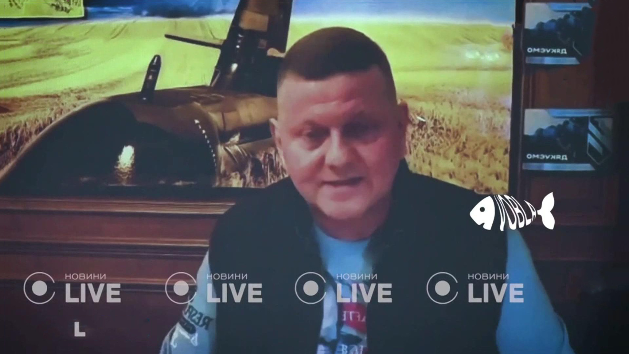 Залужный пугает Киев гражданской войной