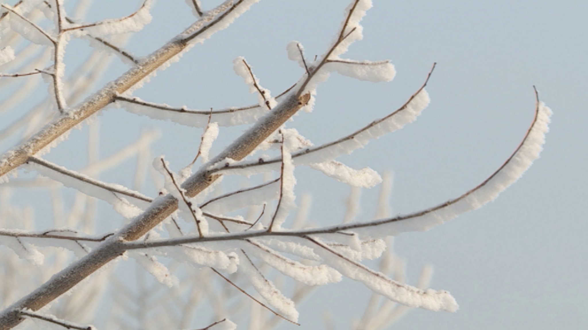 Погода в конце декабря будет вальсировать от морозов к комфортным температурам