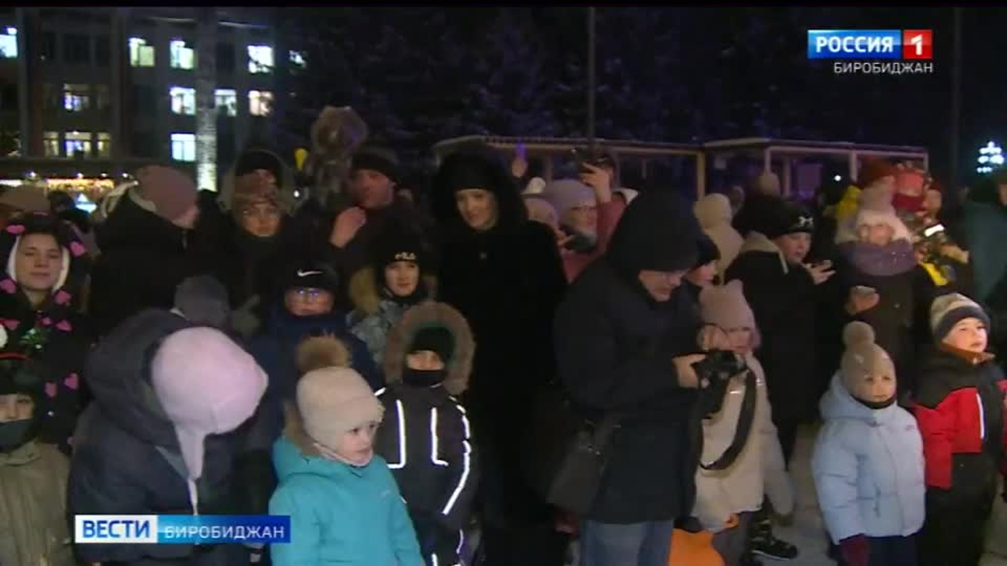 Церемония зажжения гирлянд на новогодней городской елке прошла в Биробиджане