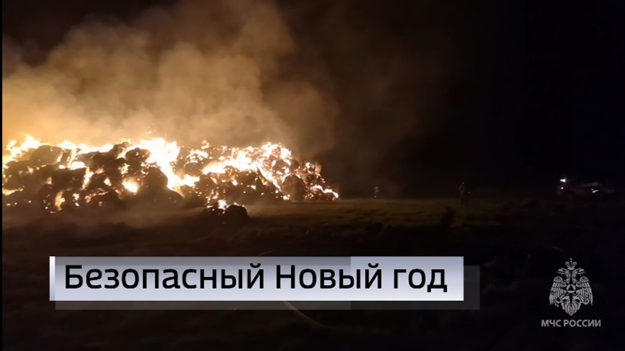 Пожары в Тюменской области в 2025 году унесли жизни 98 человек
