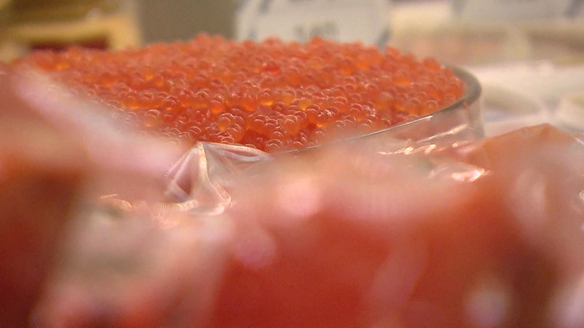 Икра – продукт капризный, при нарушении правил хранения быстро портится