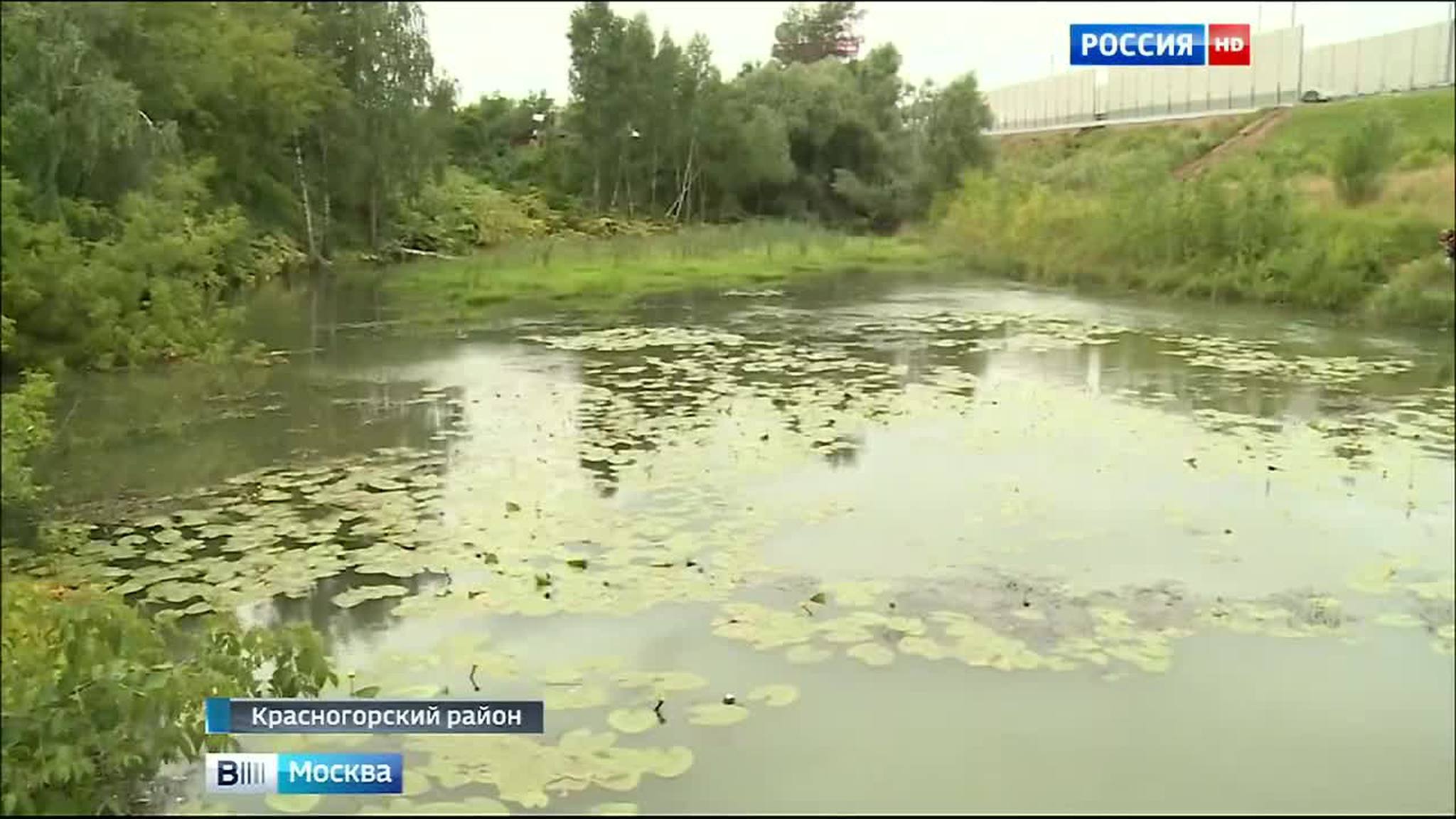 Приток Москвы-реки превратили в сточную канаву