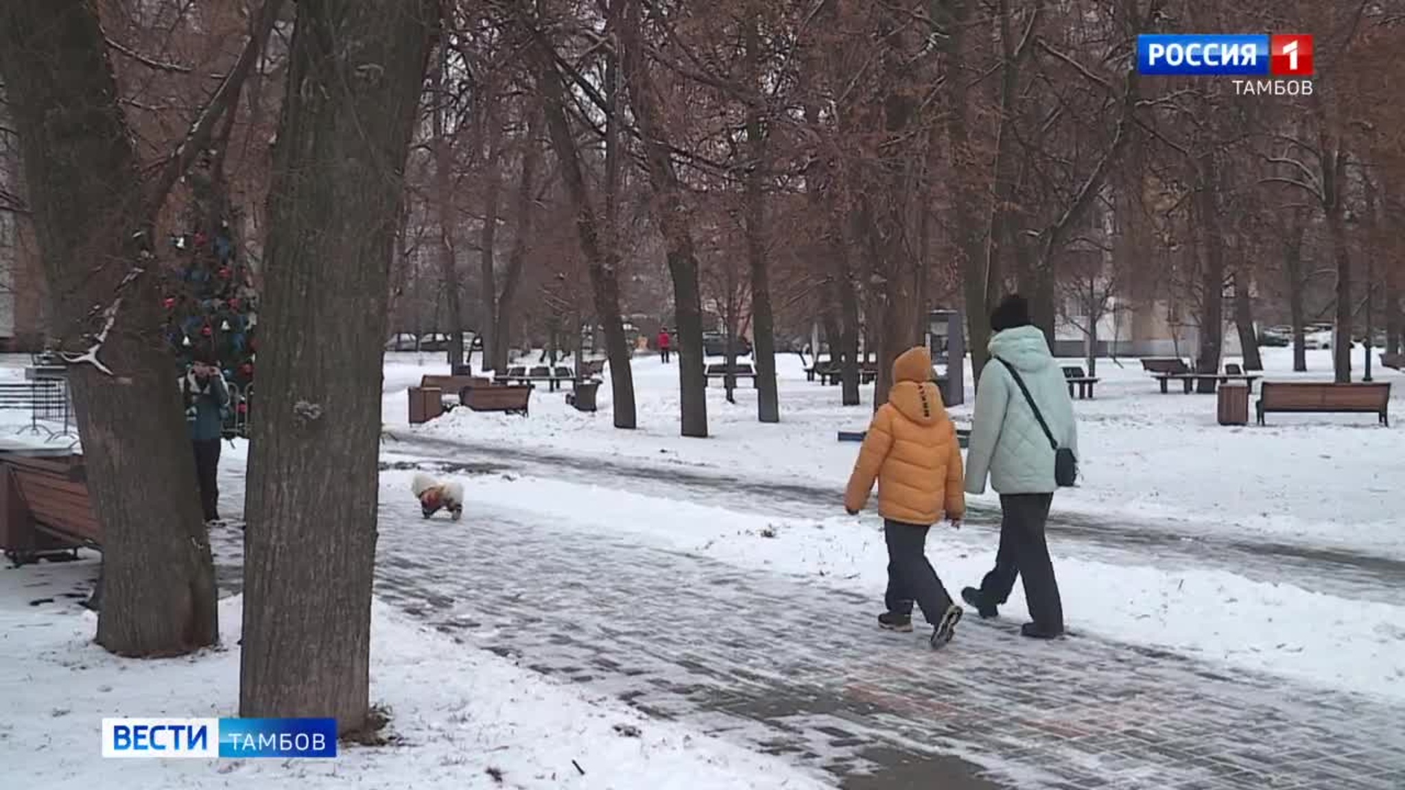 Марина Македонская: «Как правильно влиться в праздничный ритм?»