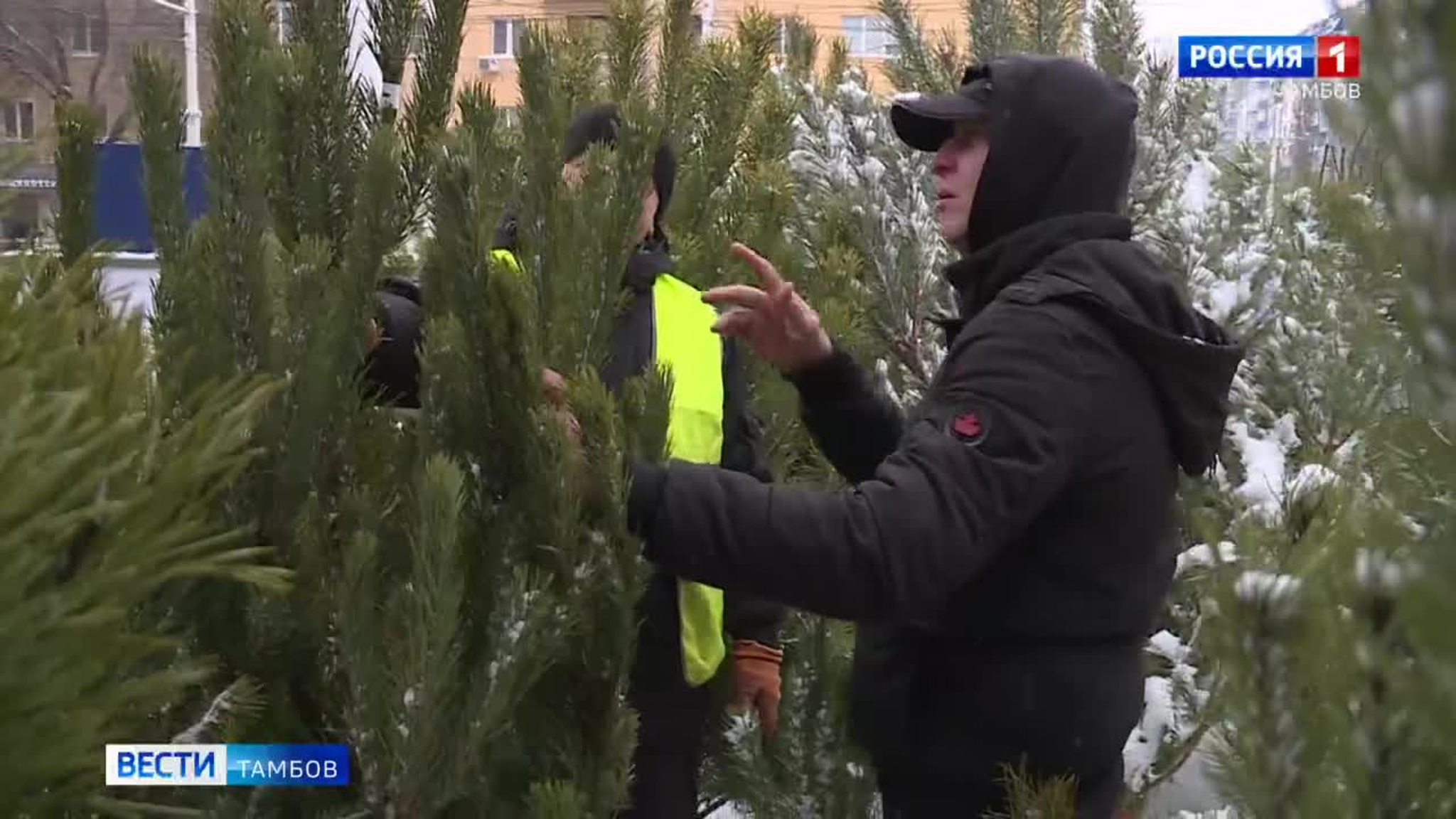 Успеть все: предновогодняя миссия выполнима