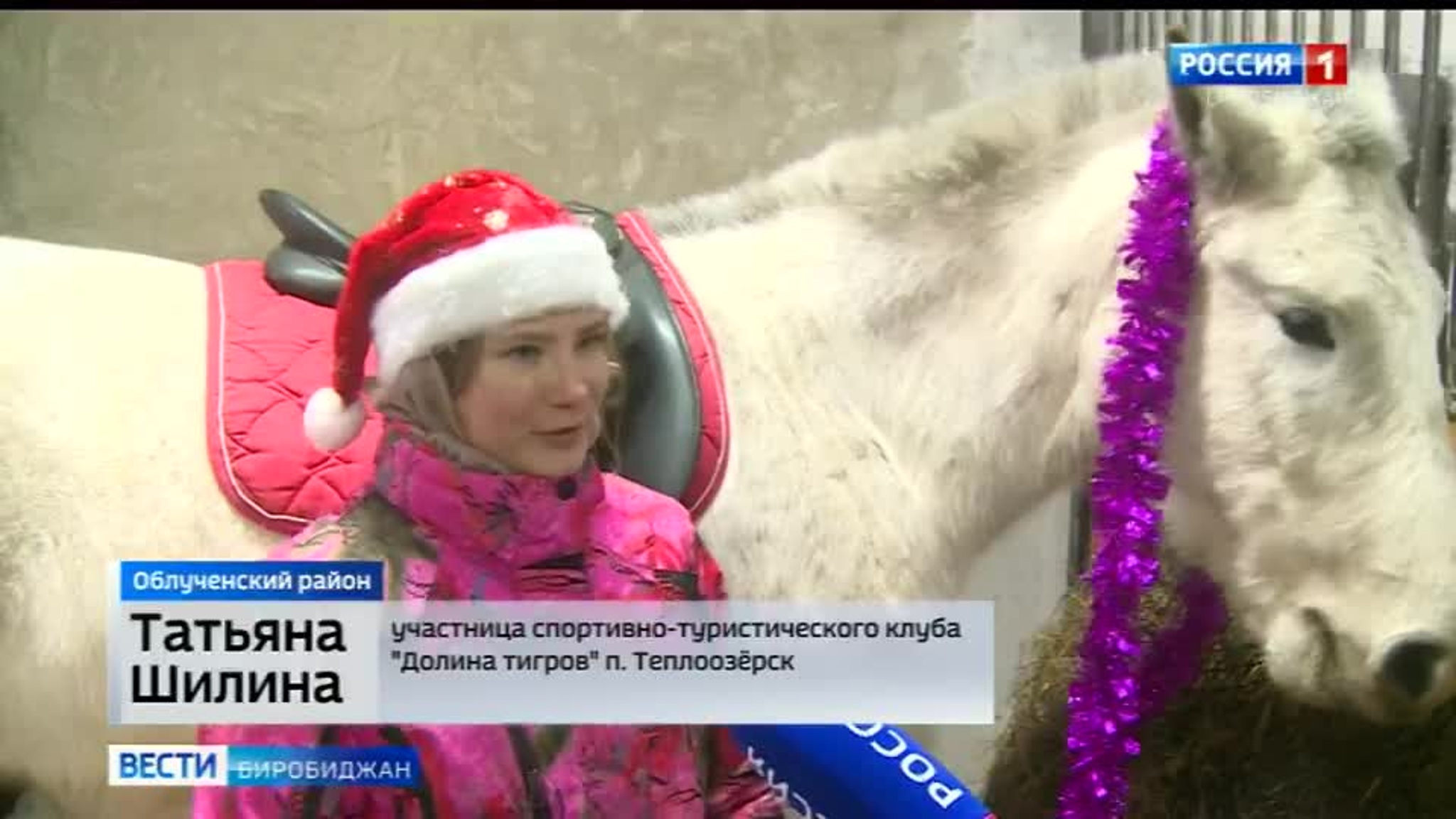 В клубе "Долина тигров" мечтают о новых победах в соревнованиях и разрядах для жокеев
