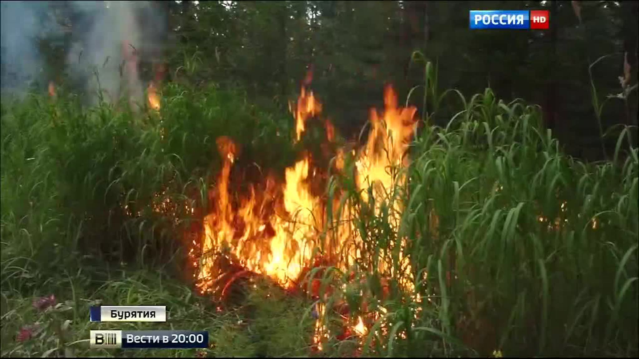 Пучков отвел на тушение Байкала три дня