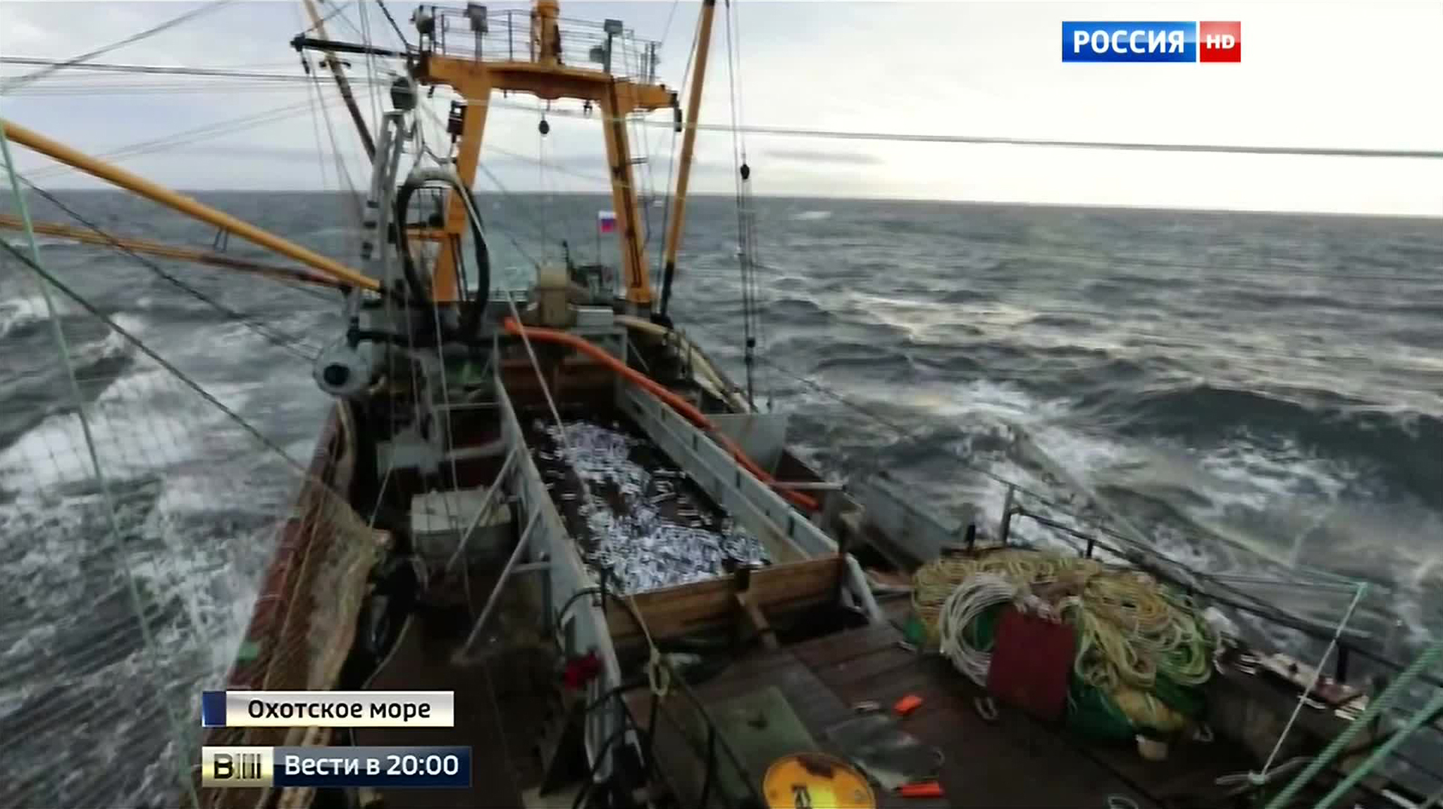 Россия отметила День флага по последней моде