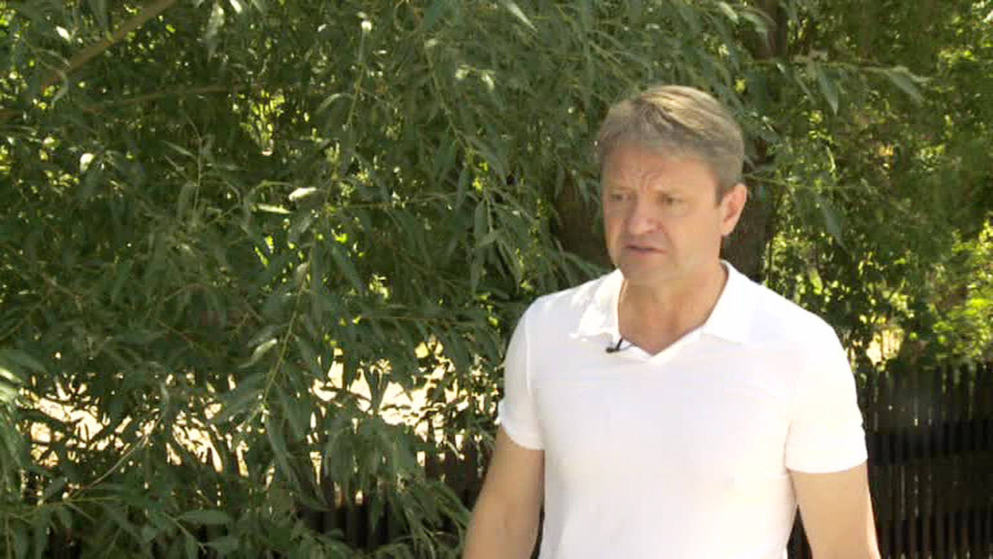 Александр Ткачев: Россия получит урожай в сто миллионов тонн зерна