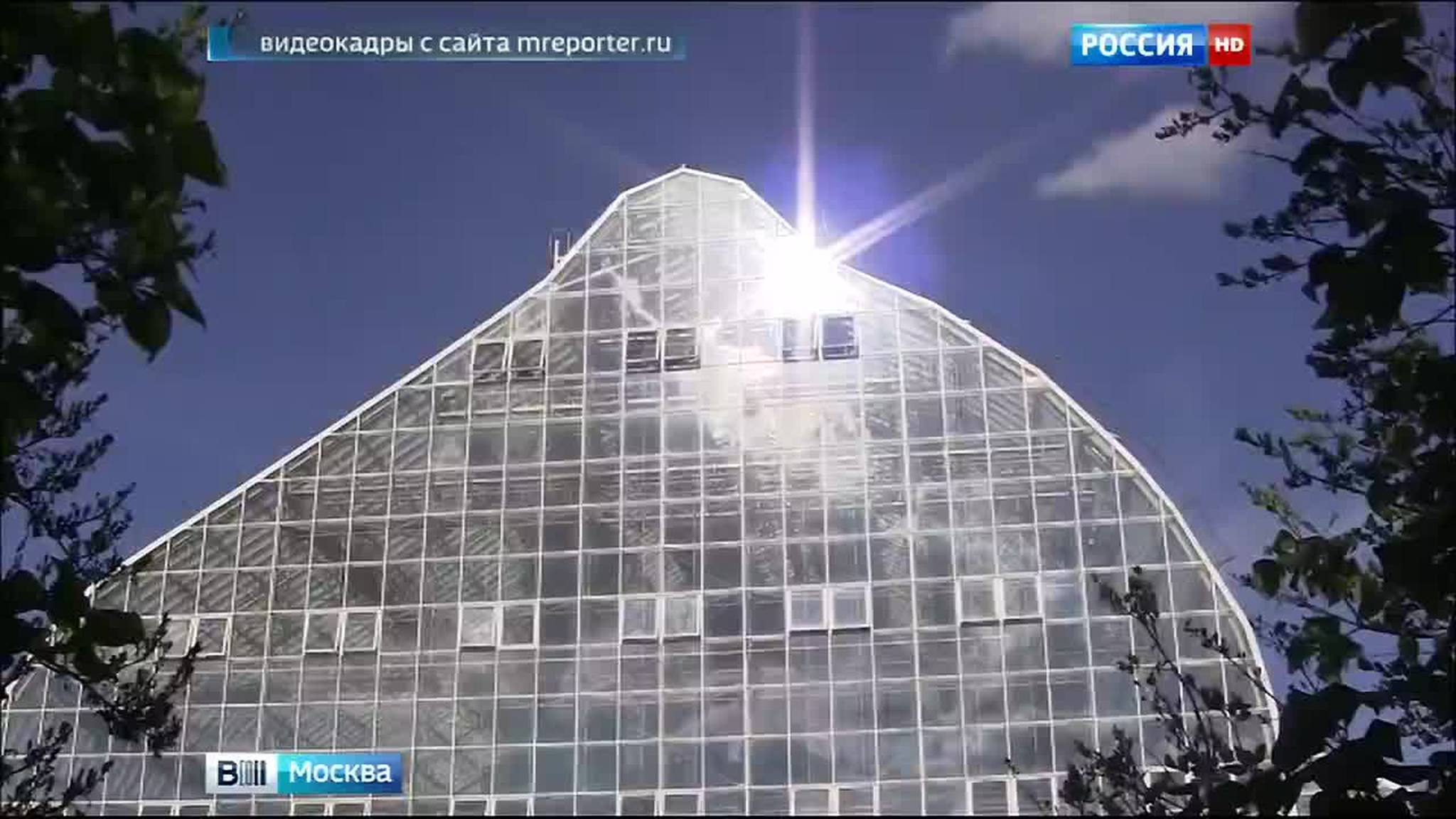 В Москве готовится к открытию самая высокая в мире оранжерея